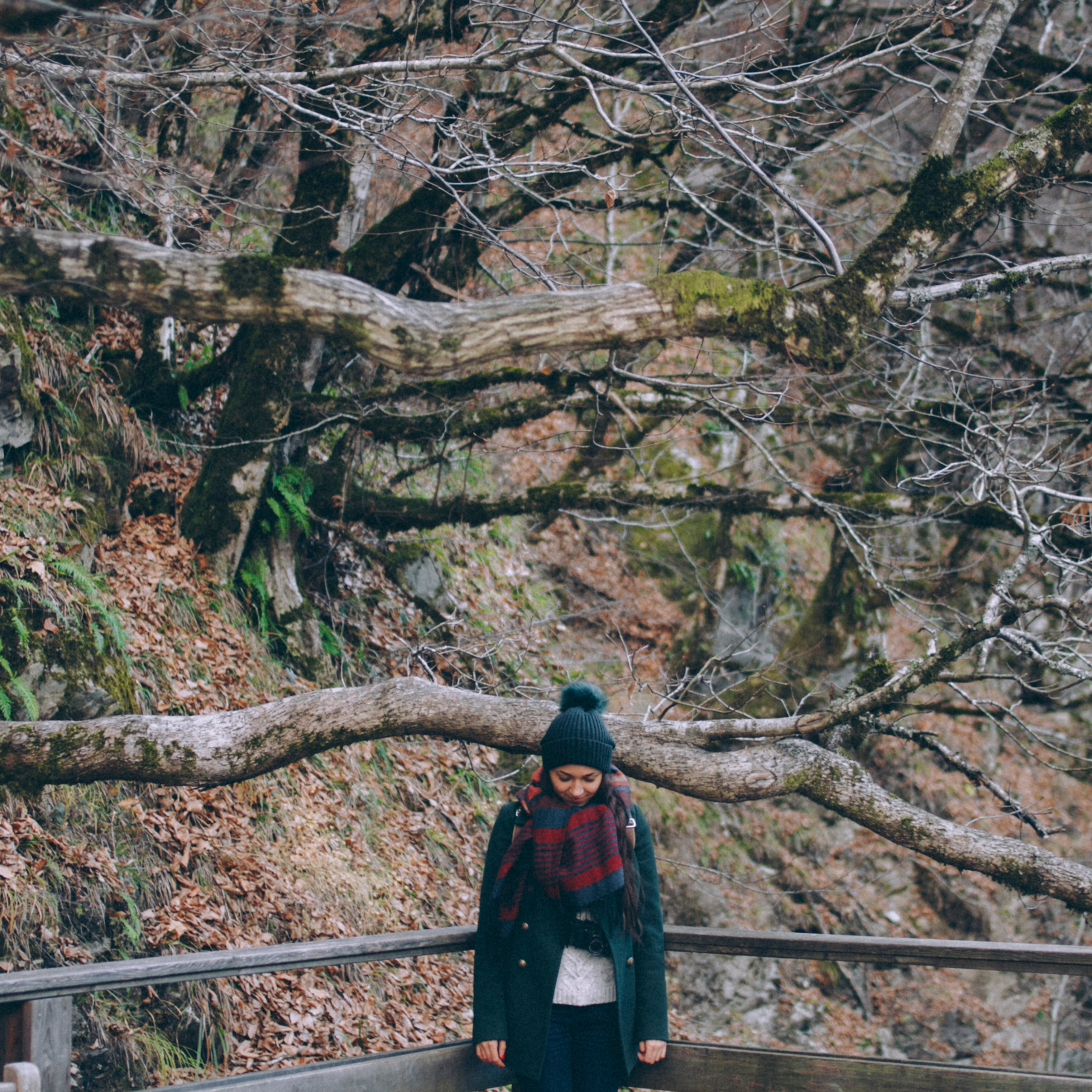 Сочи (декабрь 2017)