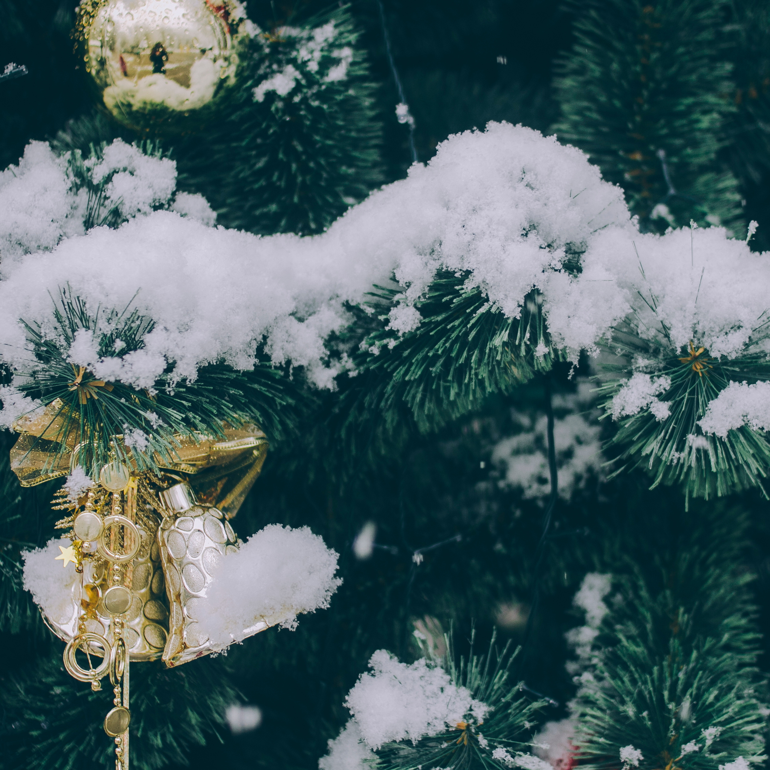 Сочи (декабрь 2017)