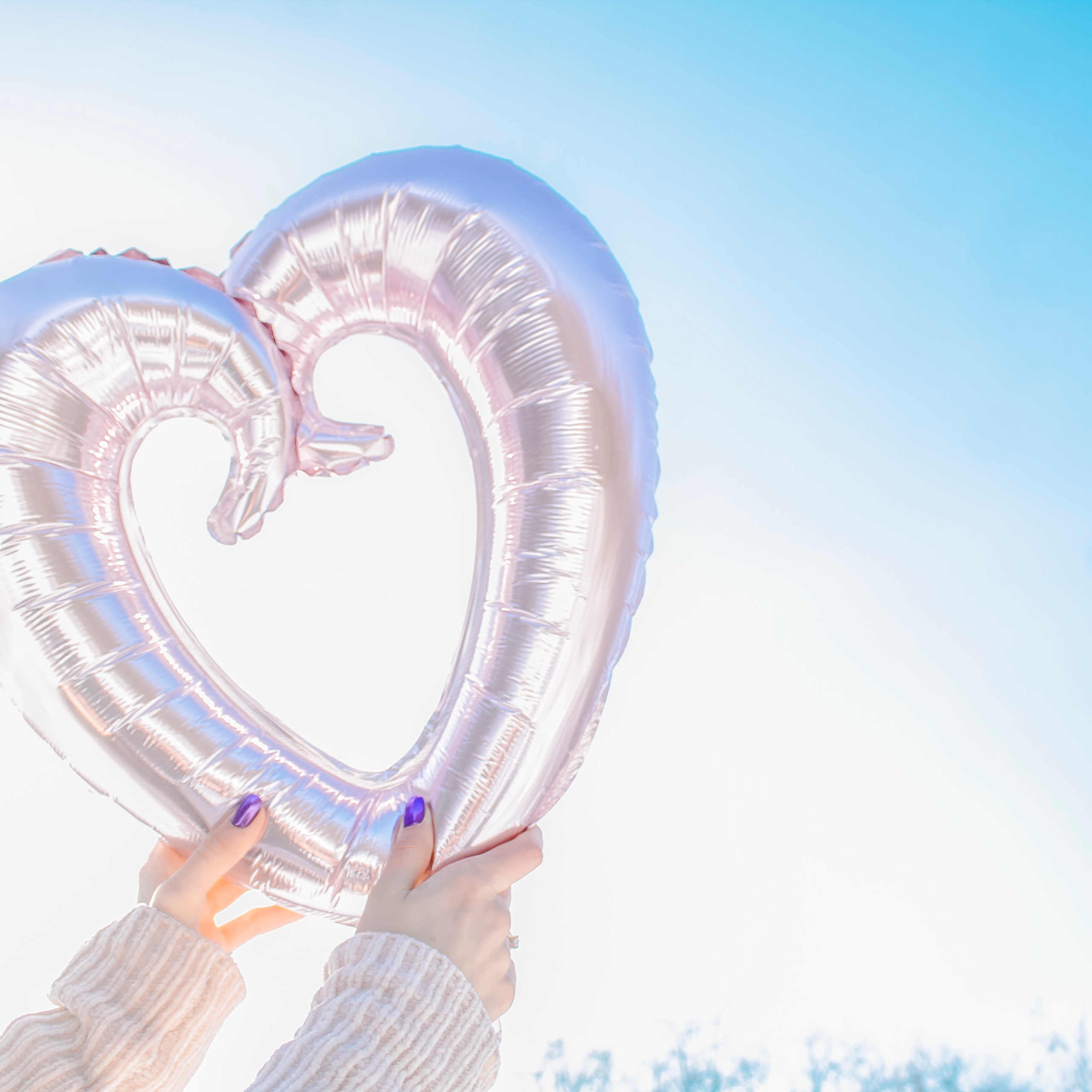 Эдельвейс (февраль 2020)