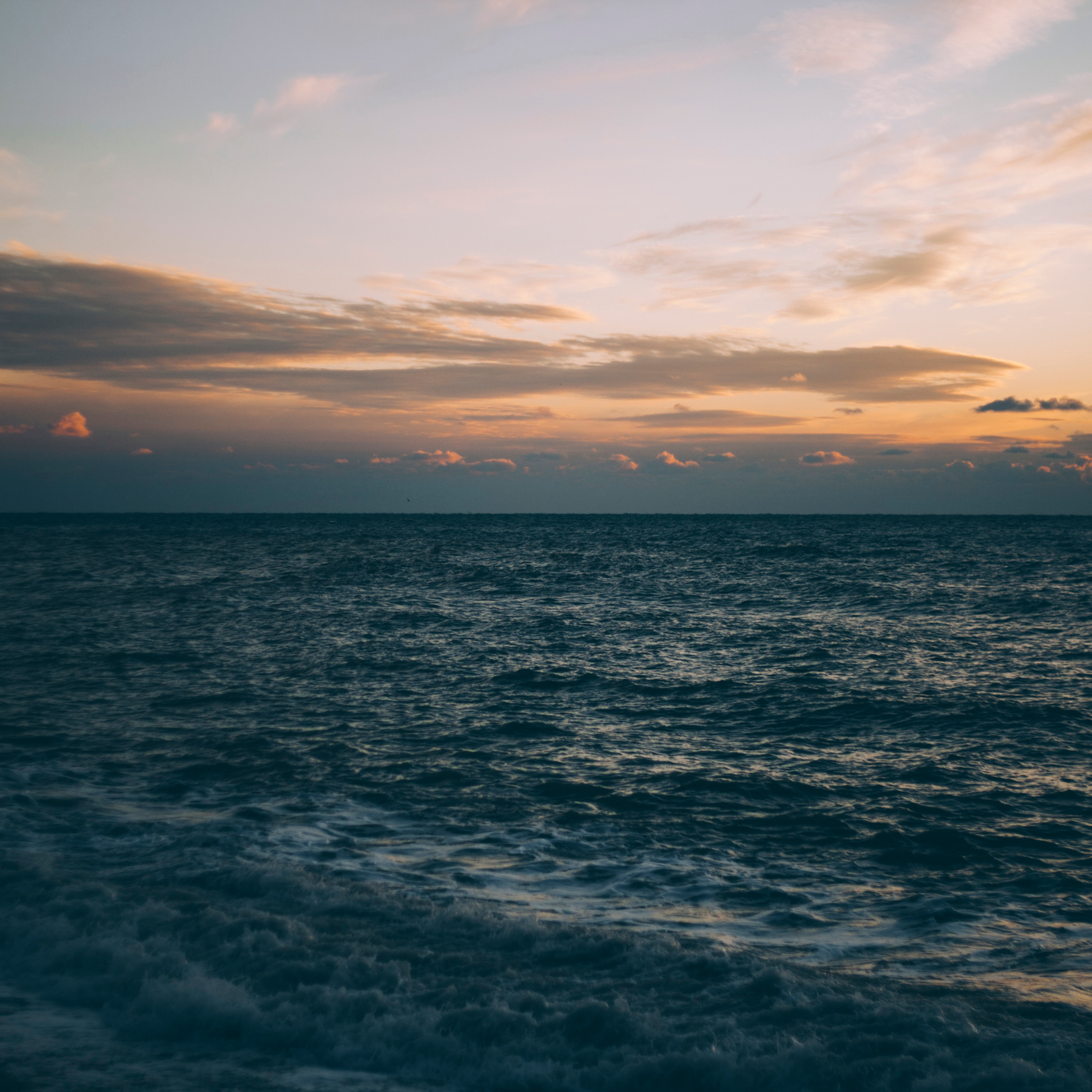 Сочи (декабрь 2017)