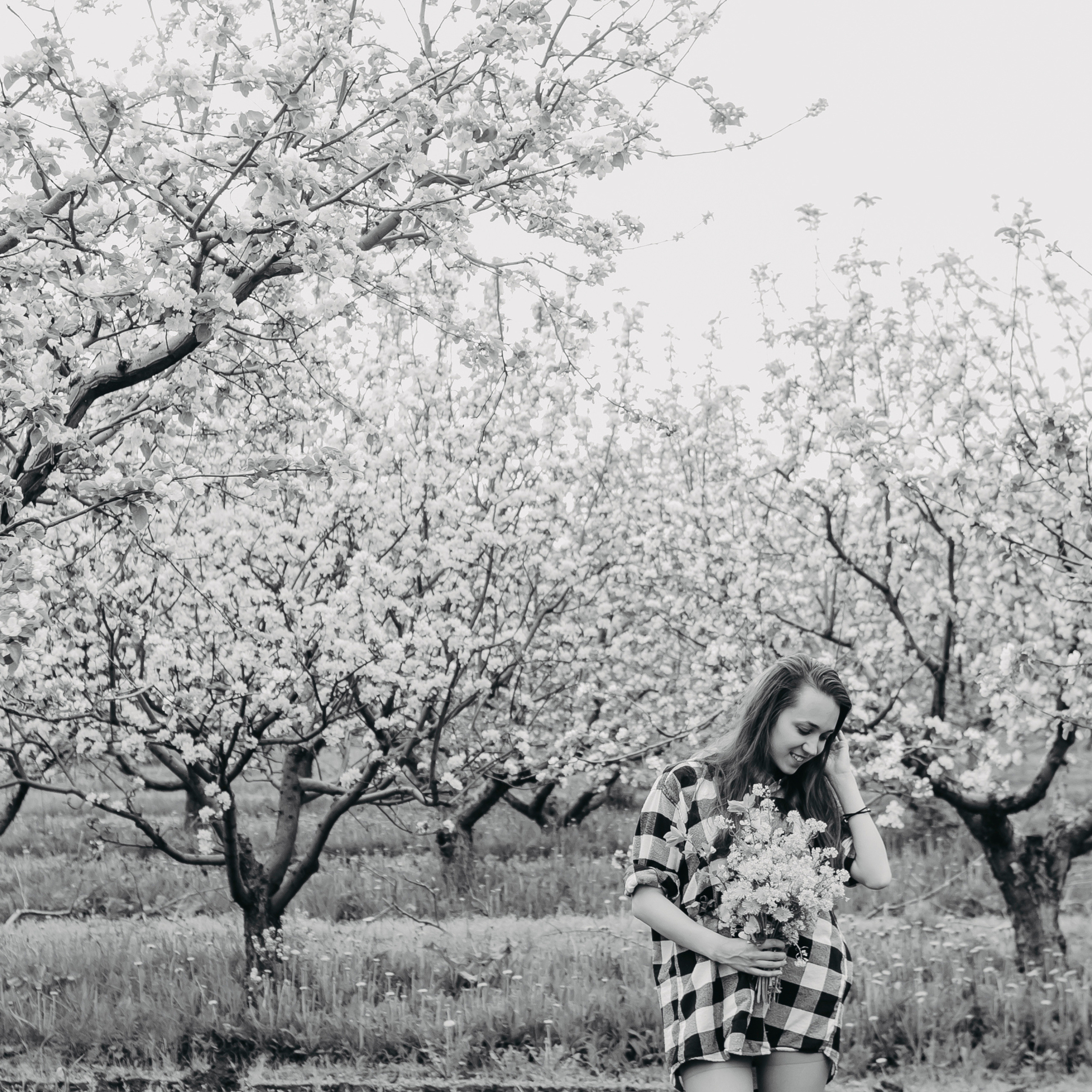 Хвалынские яблоневые сады (май 2019)