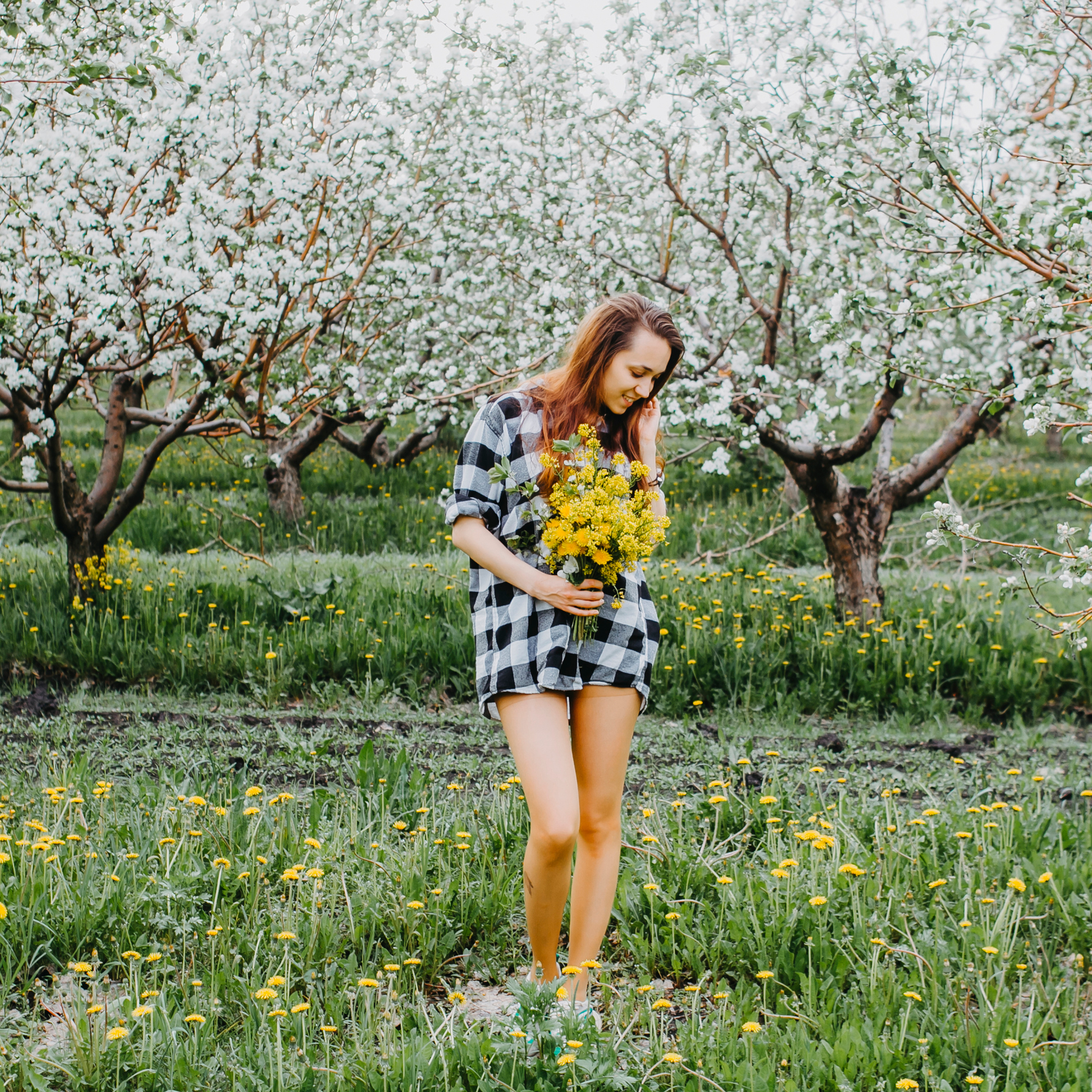 Хвалынские яблоневые сады (май 2019)