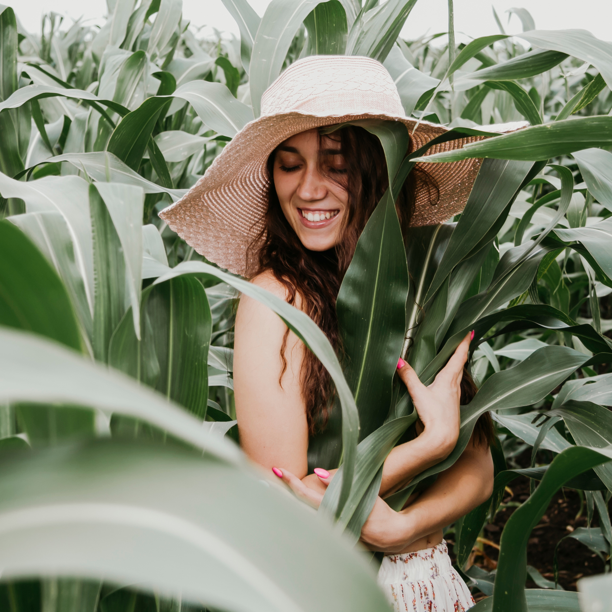 Кукурузные поля (август 2019)