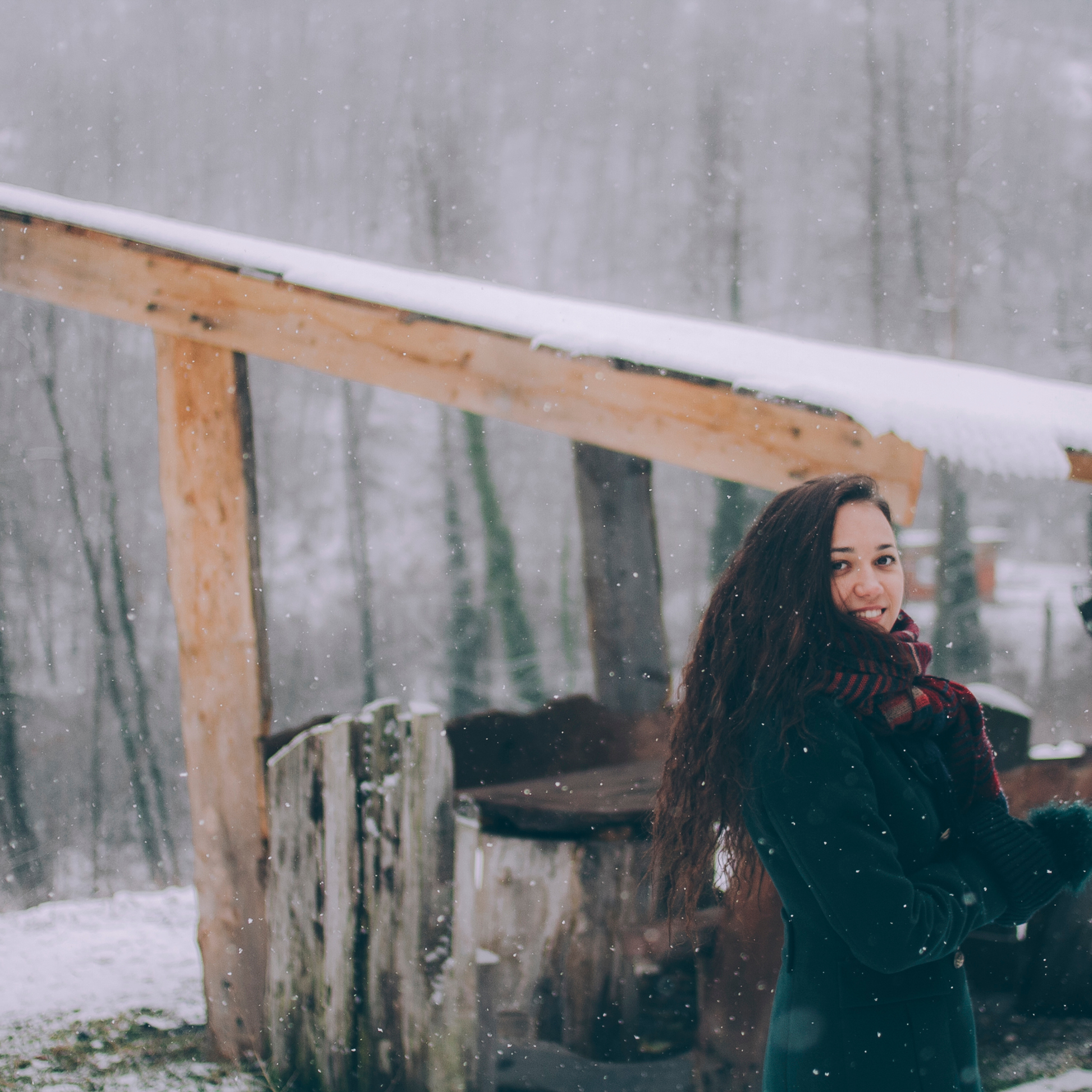 Сочи (декабрь 2017)