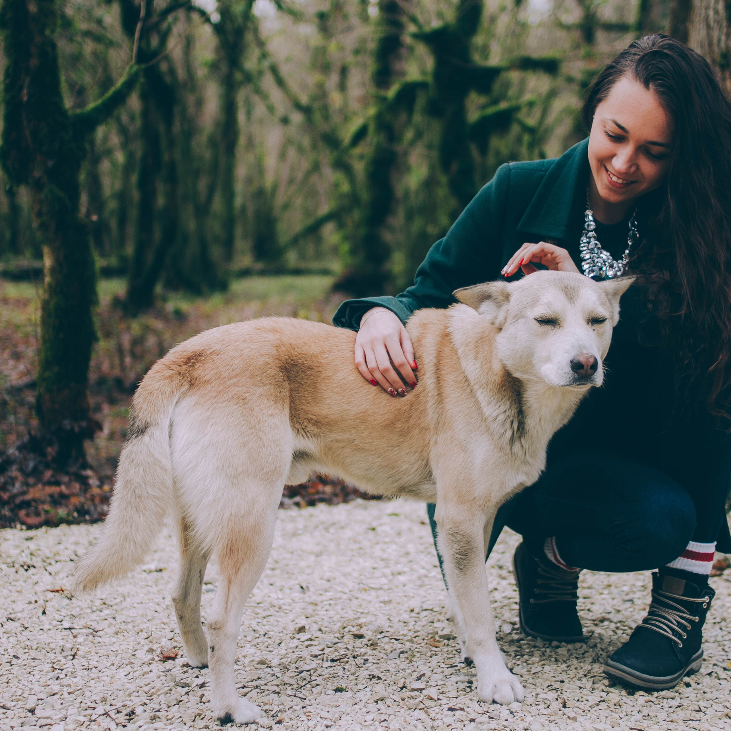 Сочи (декабрь 2017)