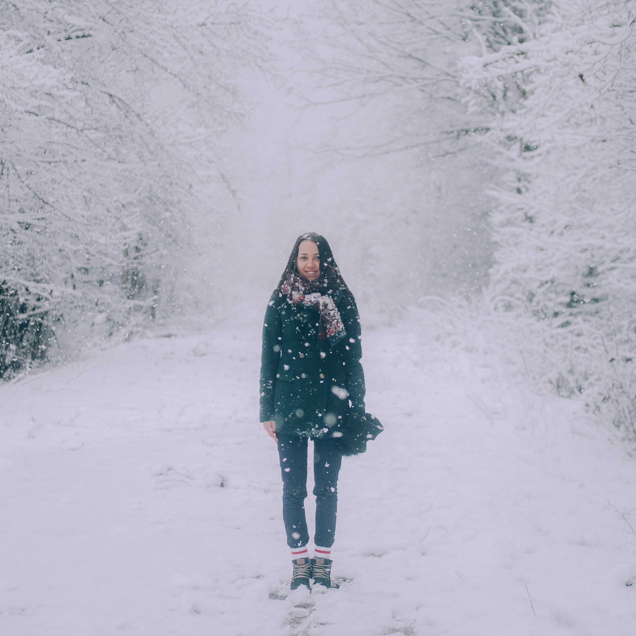 Сочи (декабрь 2017)