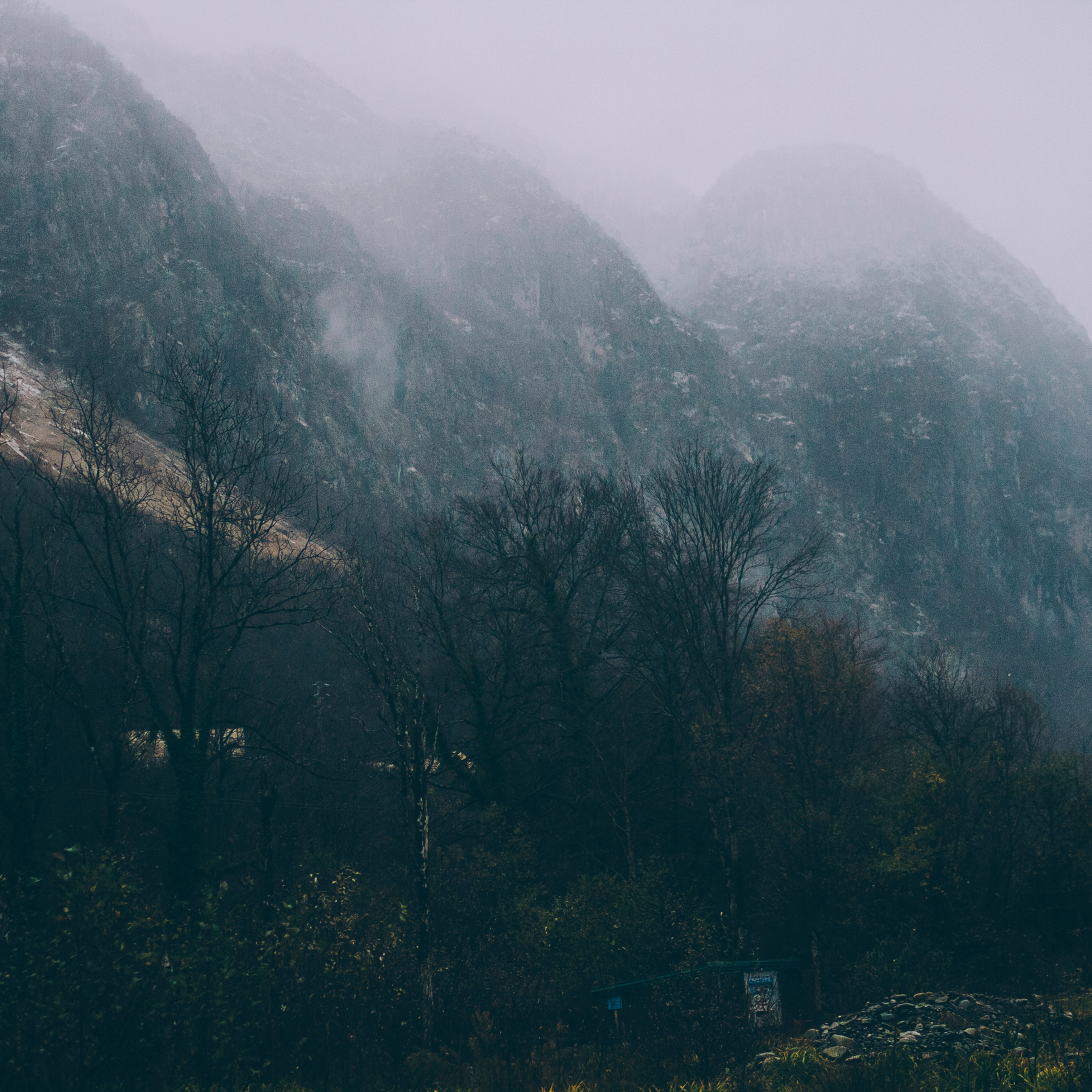 Сочи (декабрь 2017)