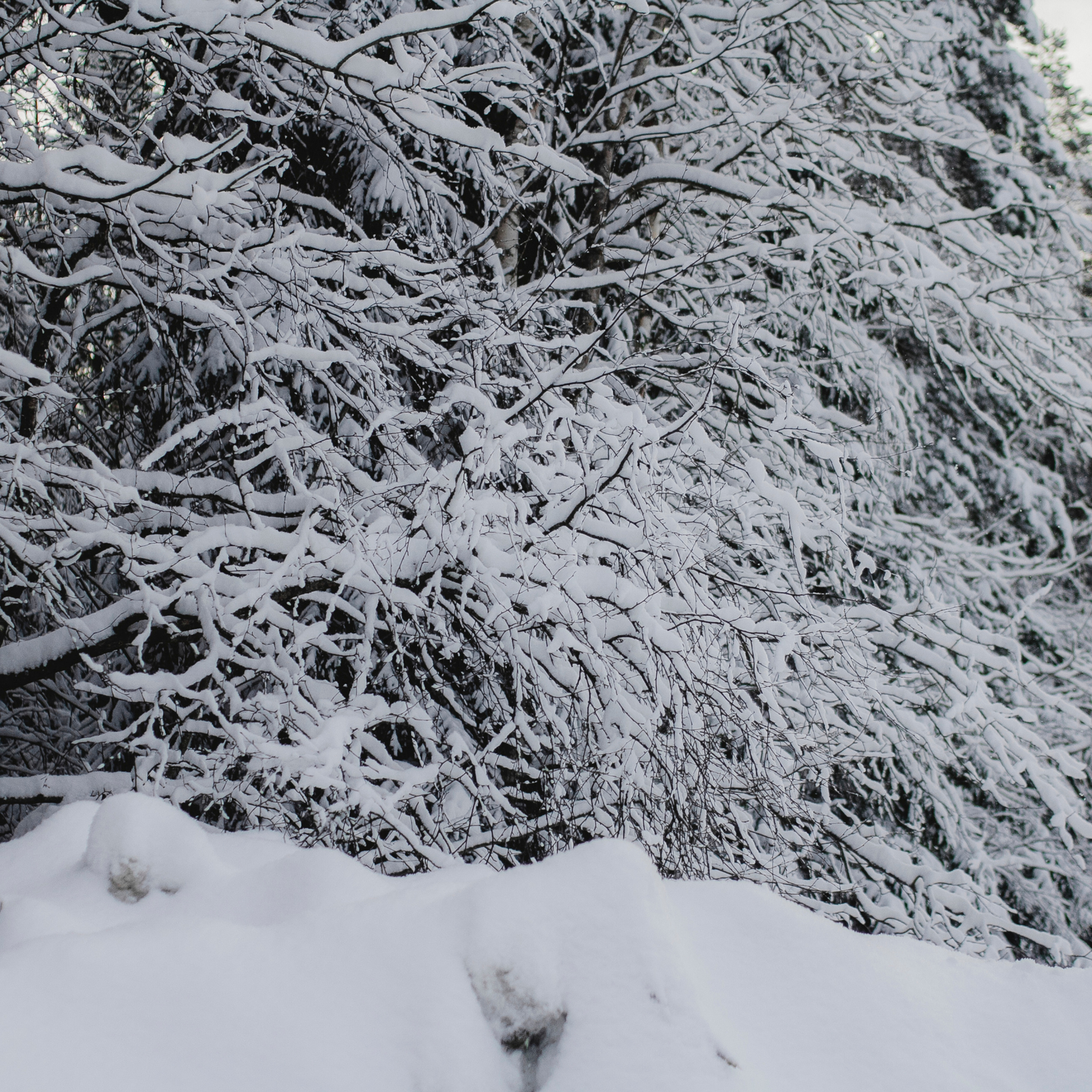 Рускеала Карелия (февраль 2018)