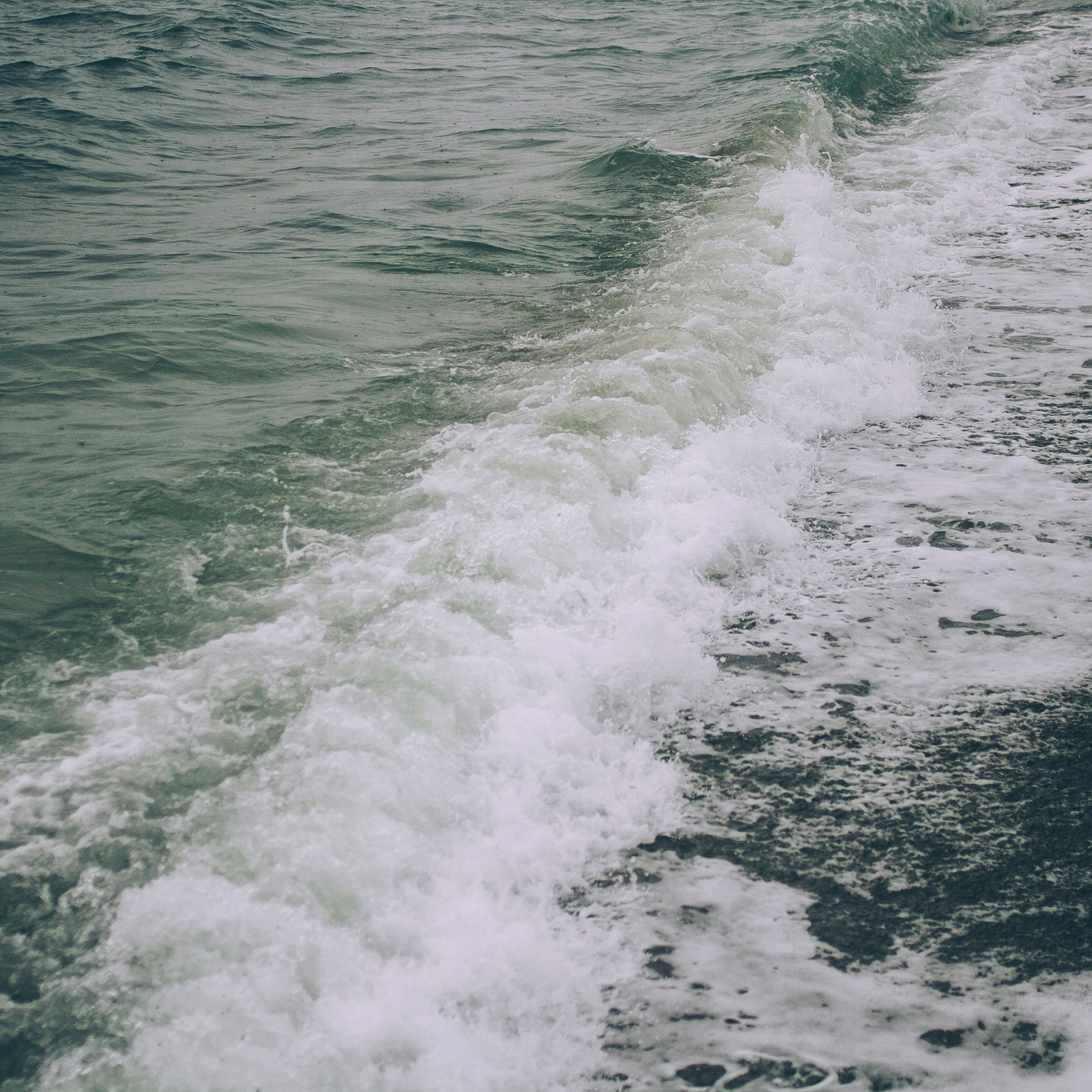 Сочи (декабрь 2017)