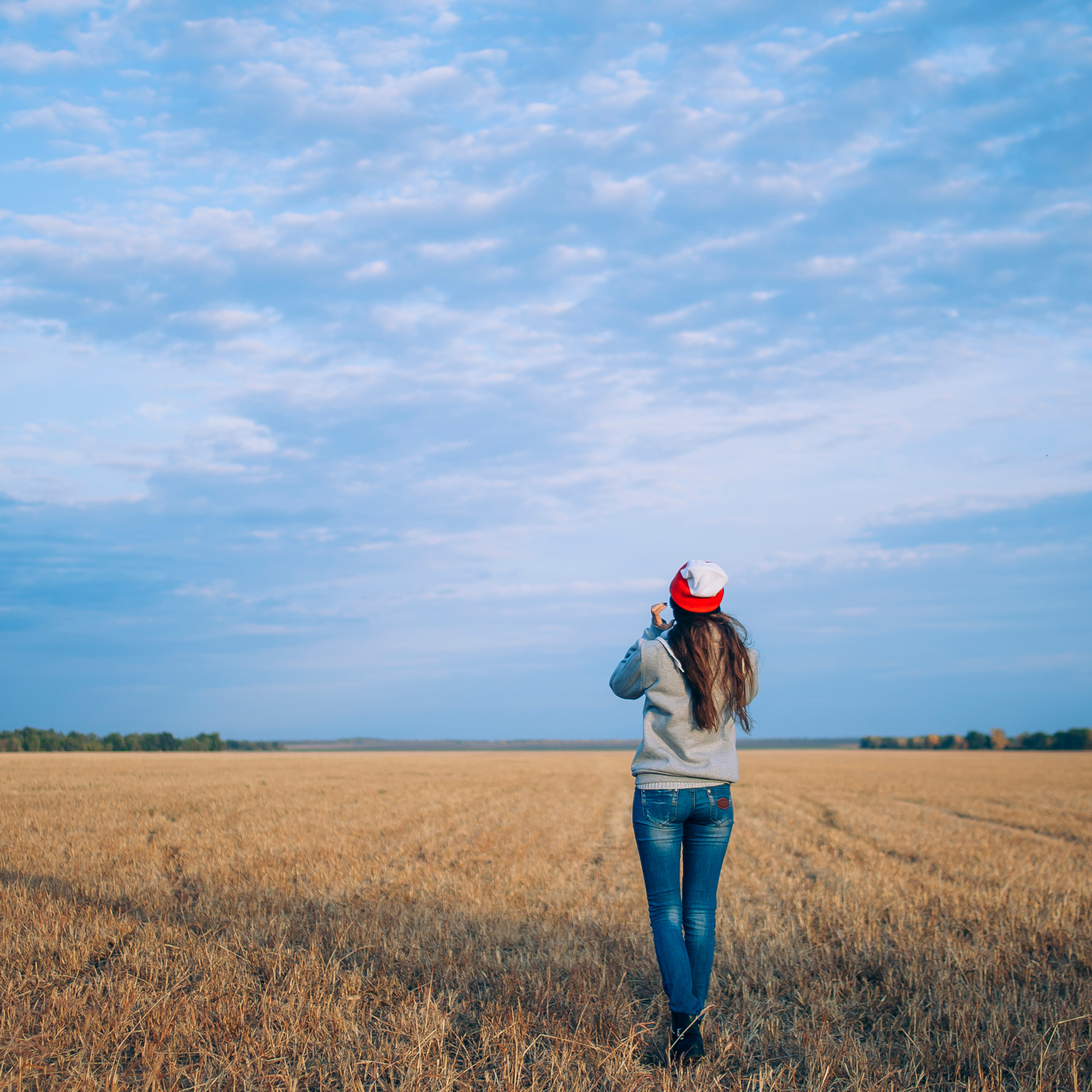 Поле у АЭС Балаково (октябрь 2018)