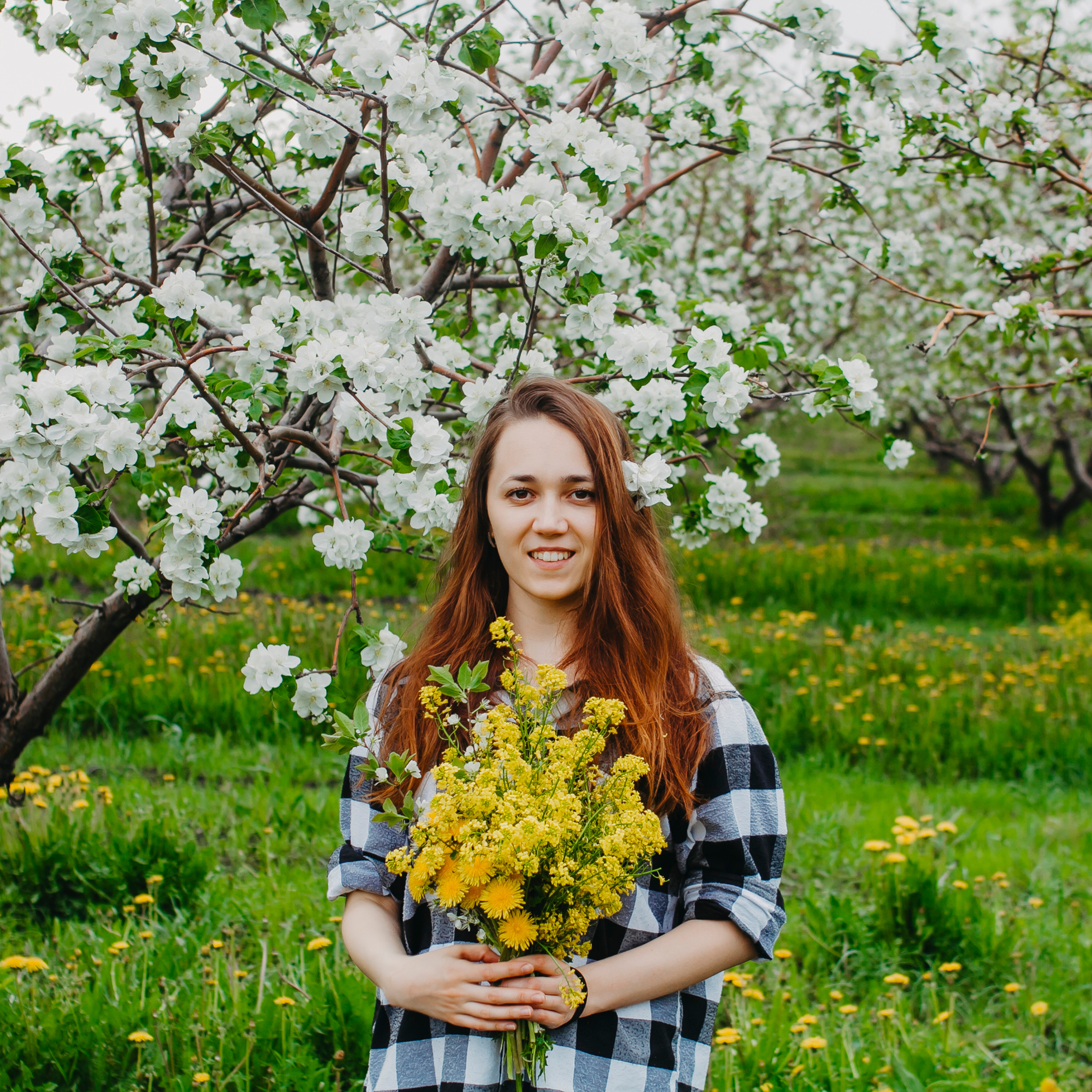 Хвалынские яблоневые сады (май 2019)