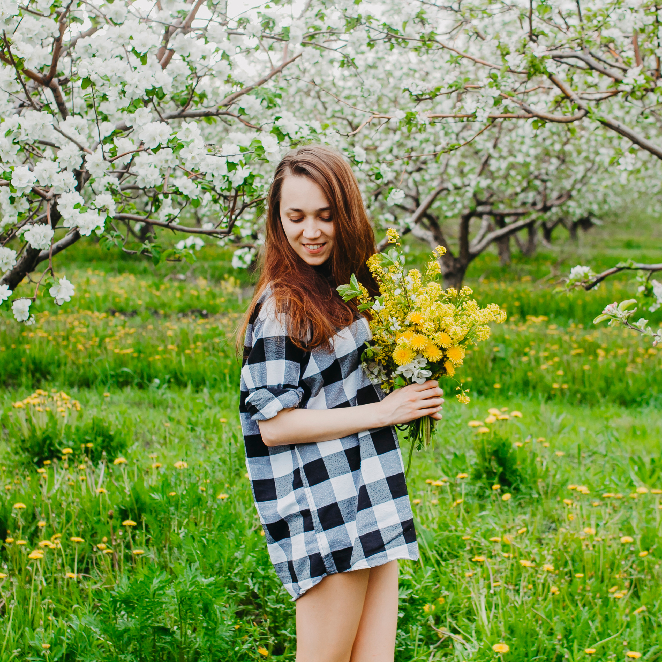 Хвалынские яблоневые сады (май 2019)