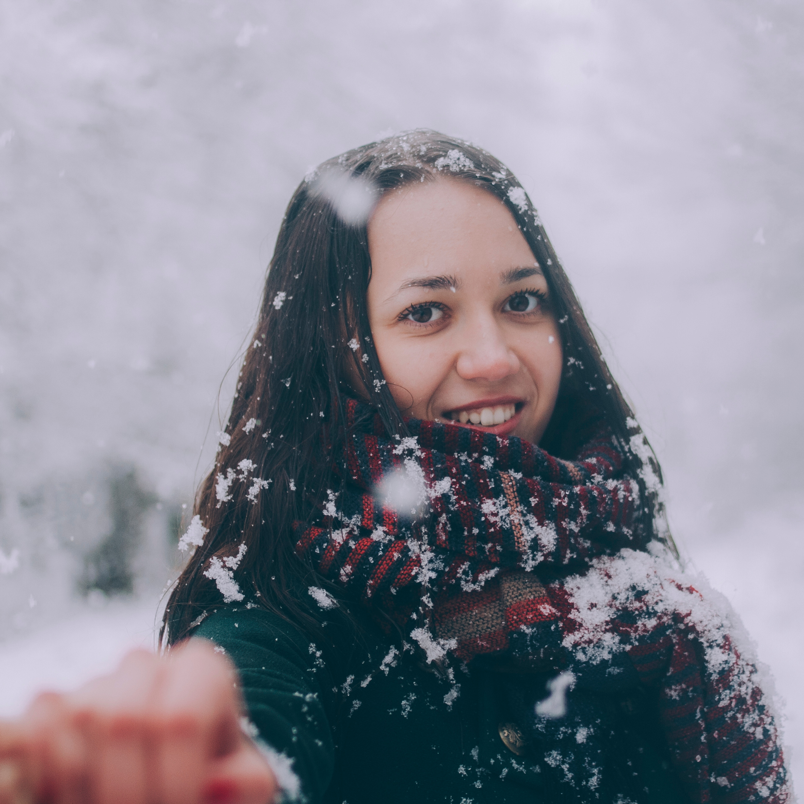 Сочи (декабрь 2017)