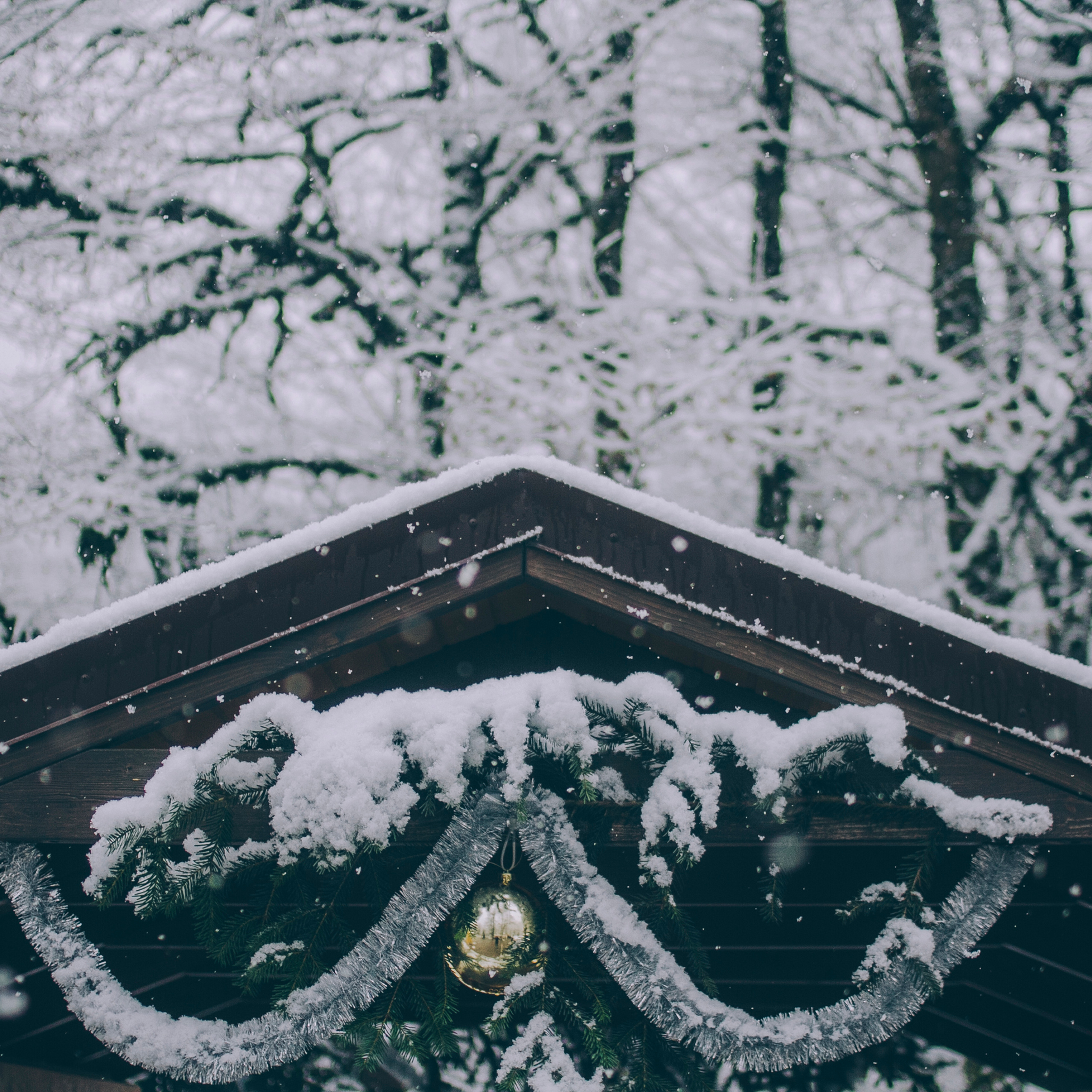 Сочи (декабрь 2017)