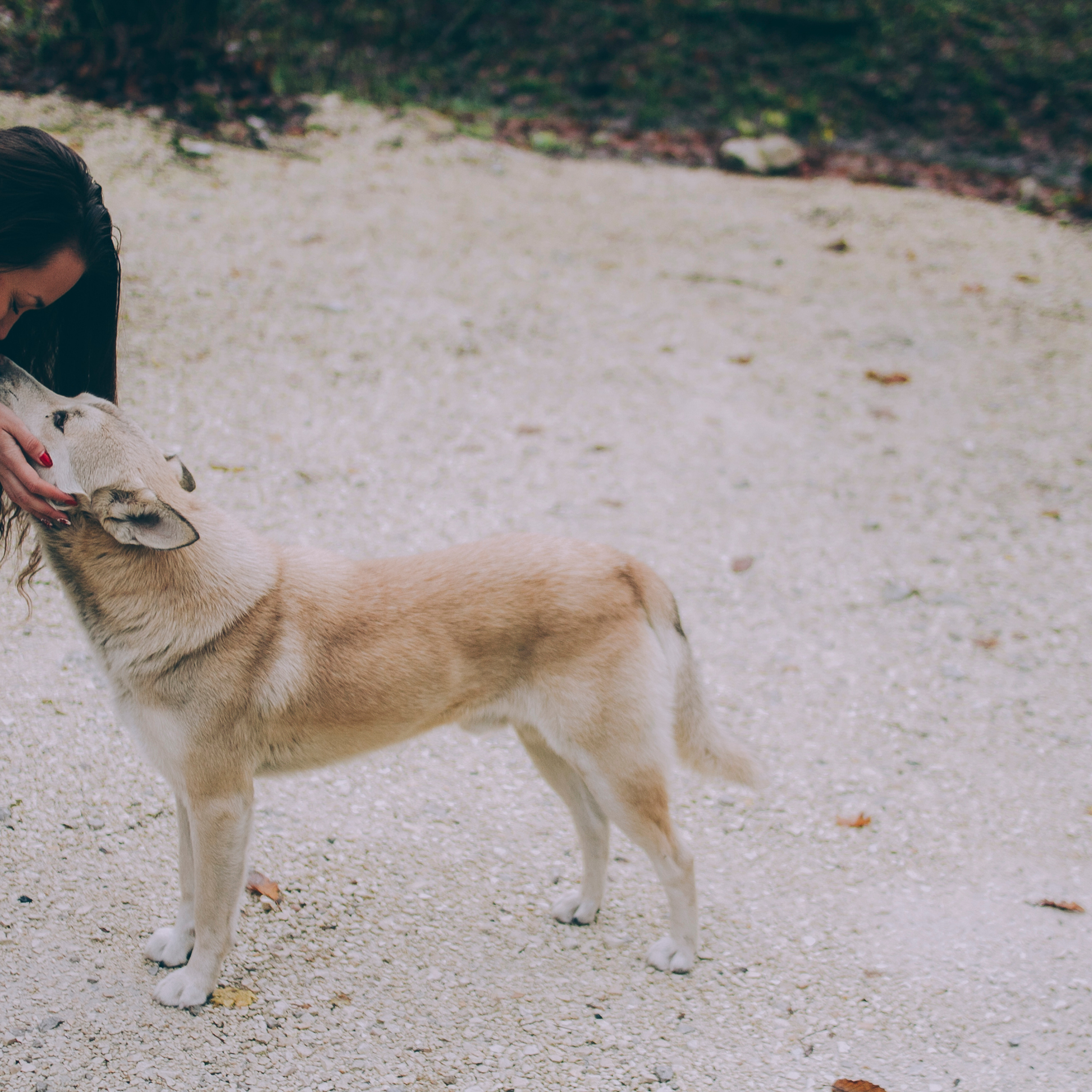 Сочи (декабрь 2017)