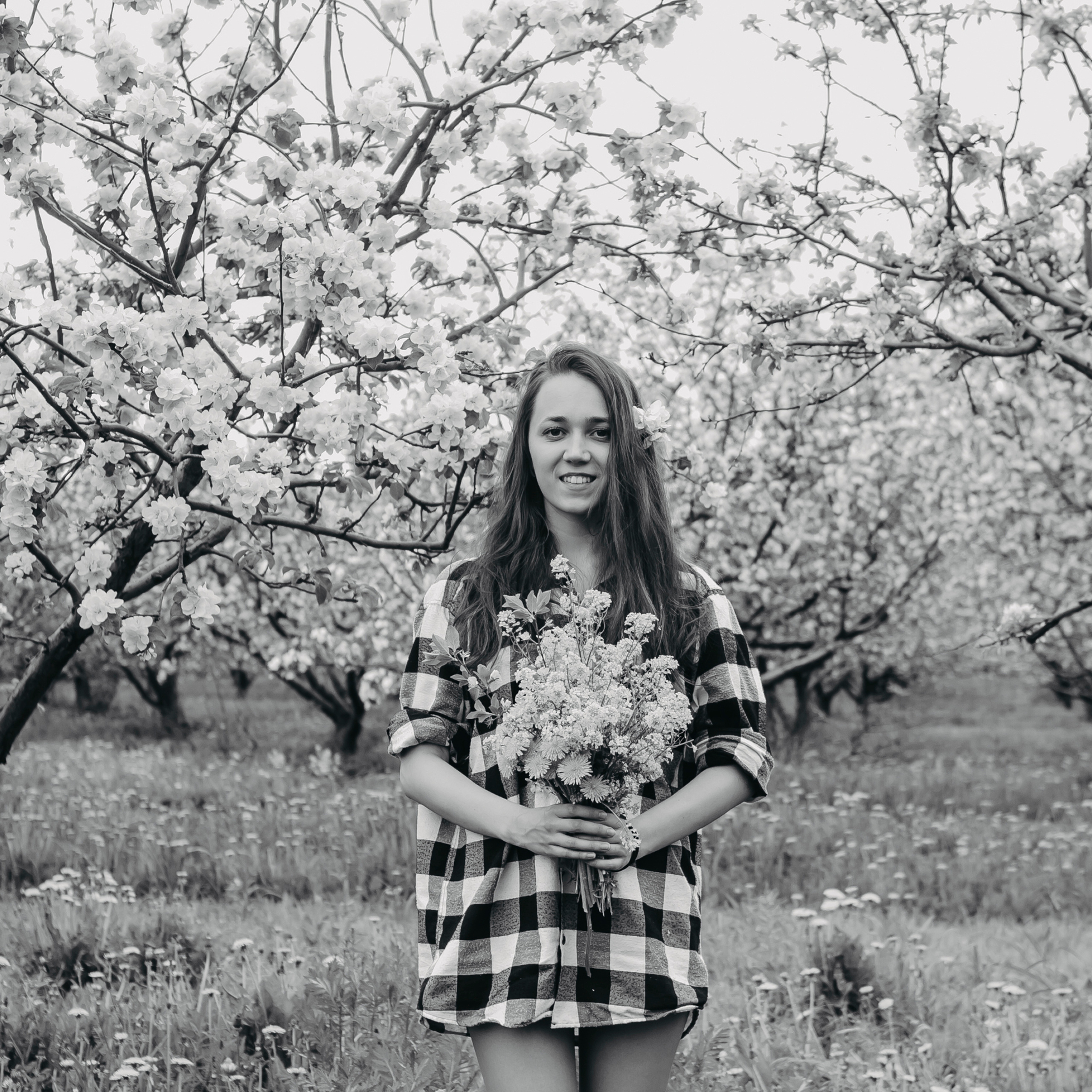 Хвалынские яблоневые сады (май 2019)