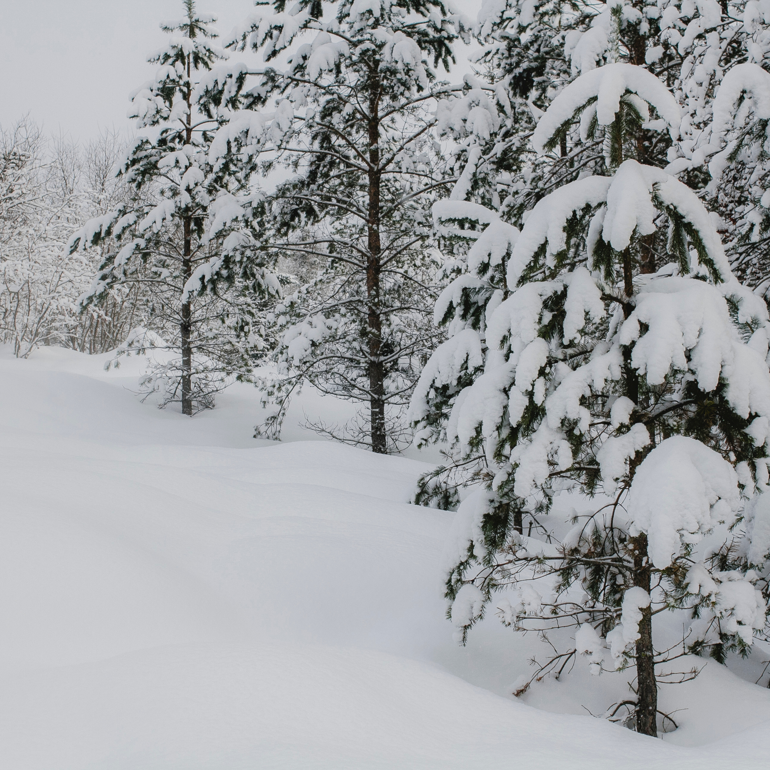 Рускеала Карелия (февраль 2018)