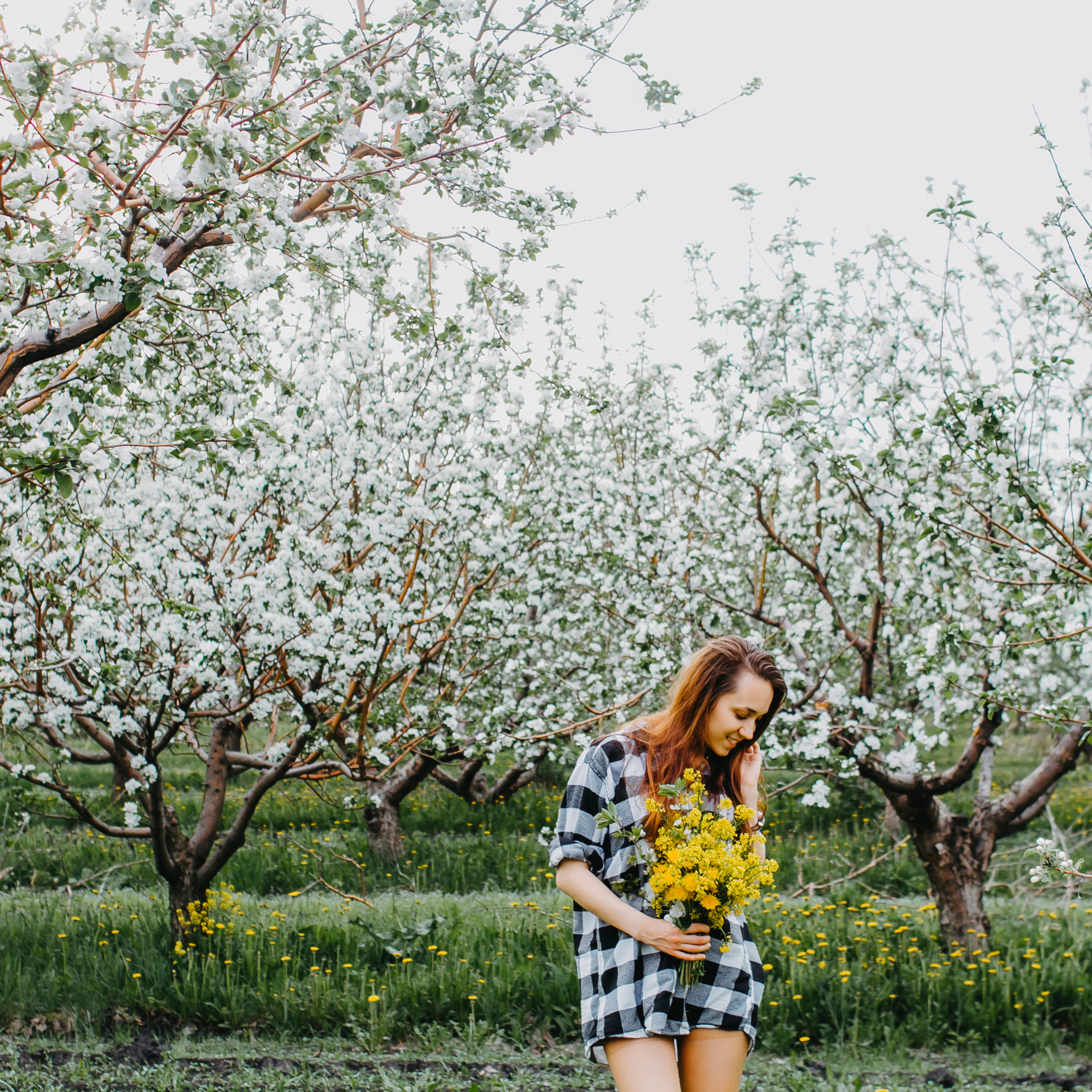 Хвалынские яблоневые сады (май 2019)