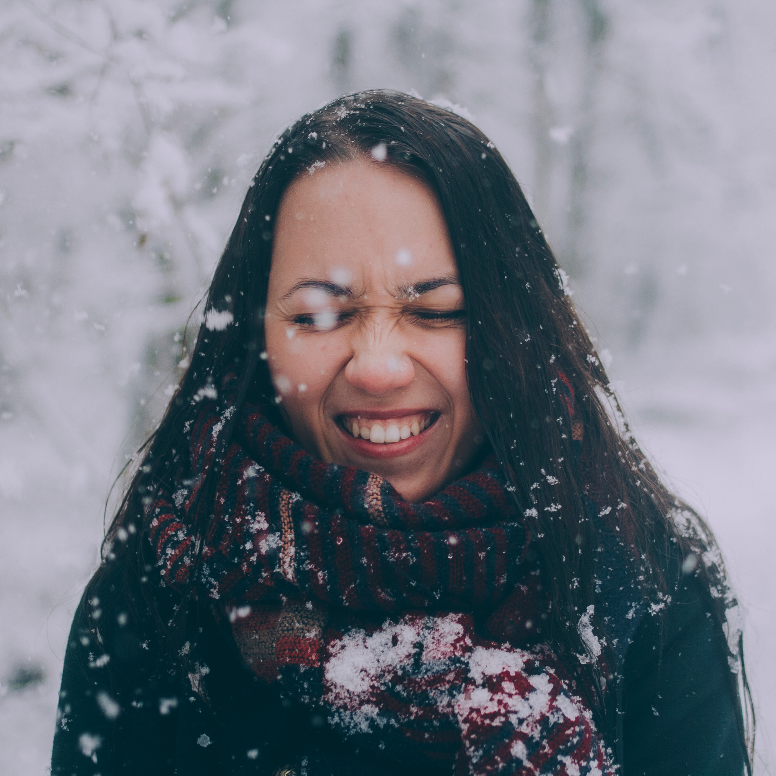 Сочи (декабрь 2017)