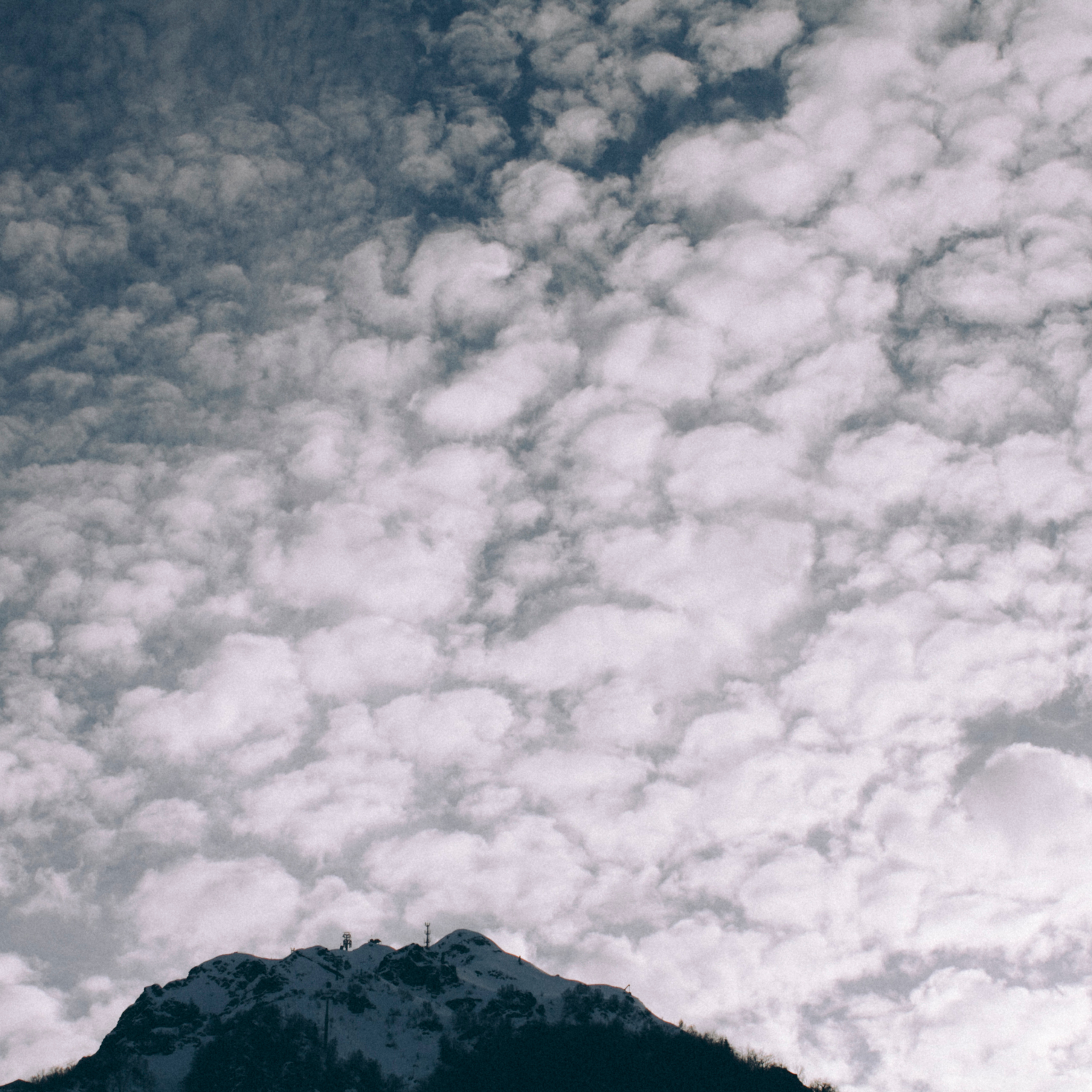 Сочи (декабрь 2017)