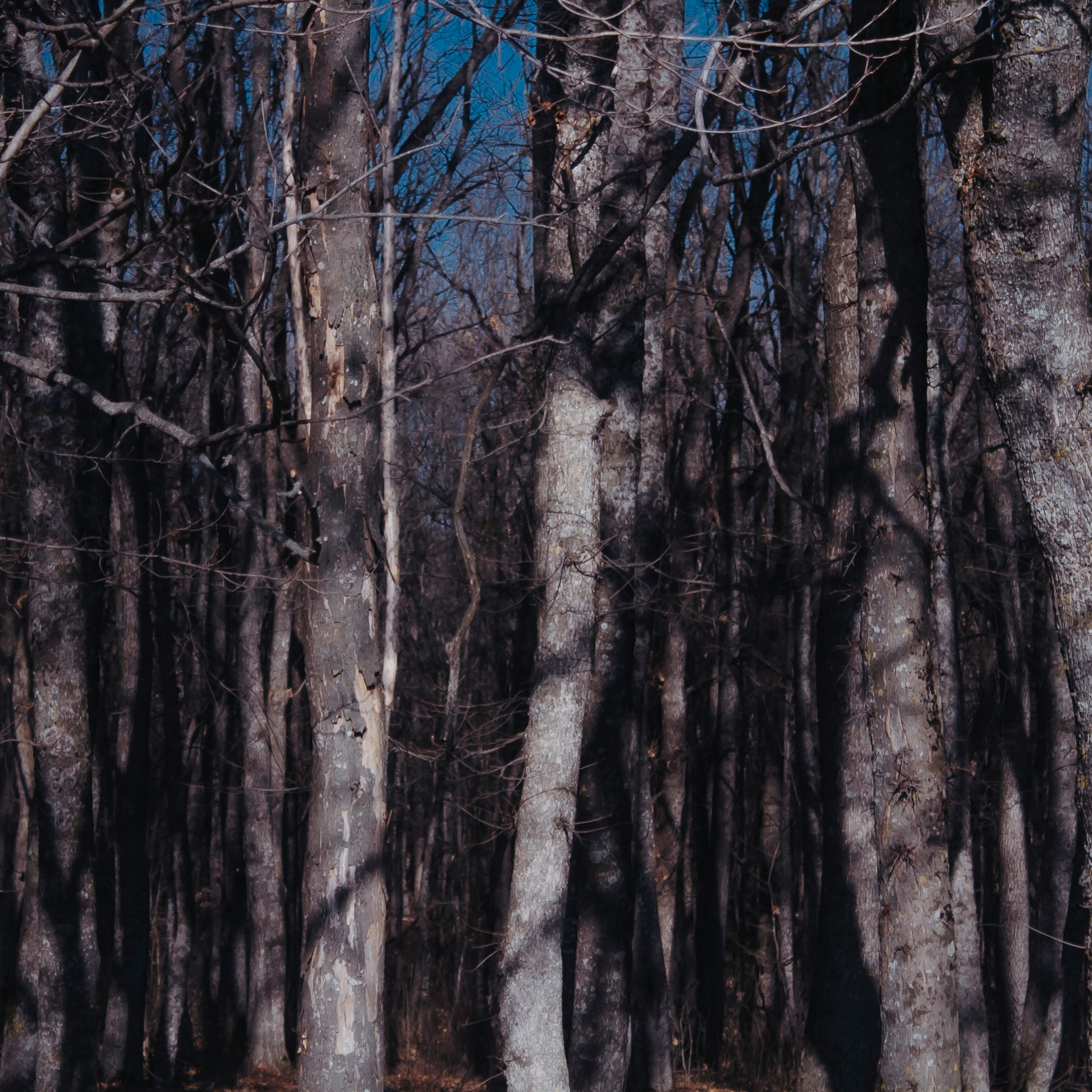 Мин воды (Новый год 2020)