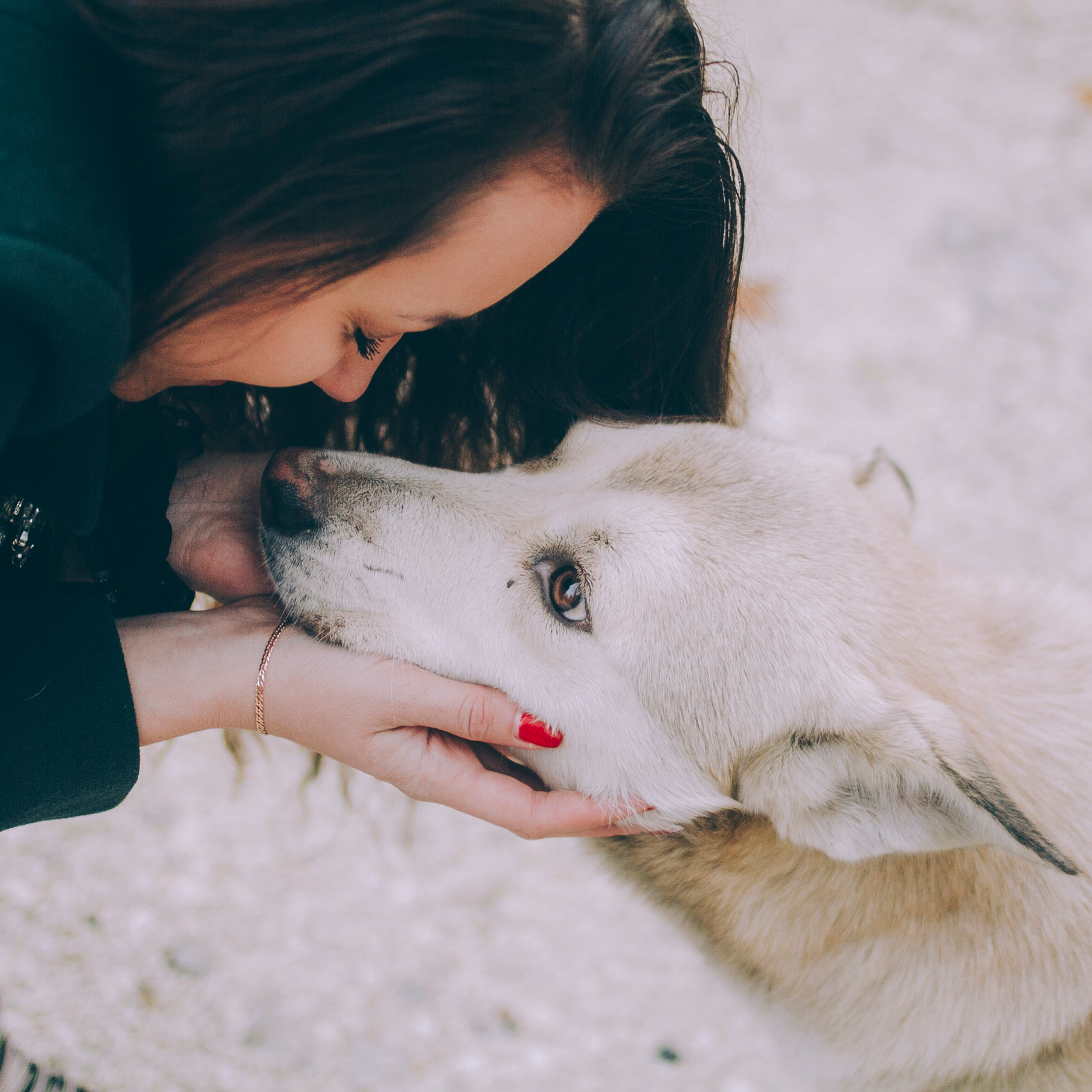 Сочи (декабрь 2017)