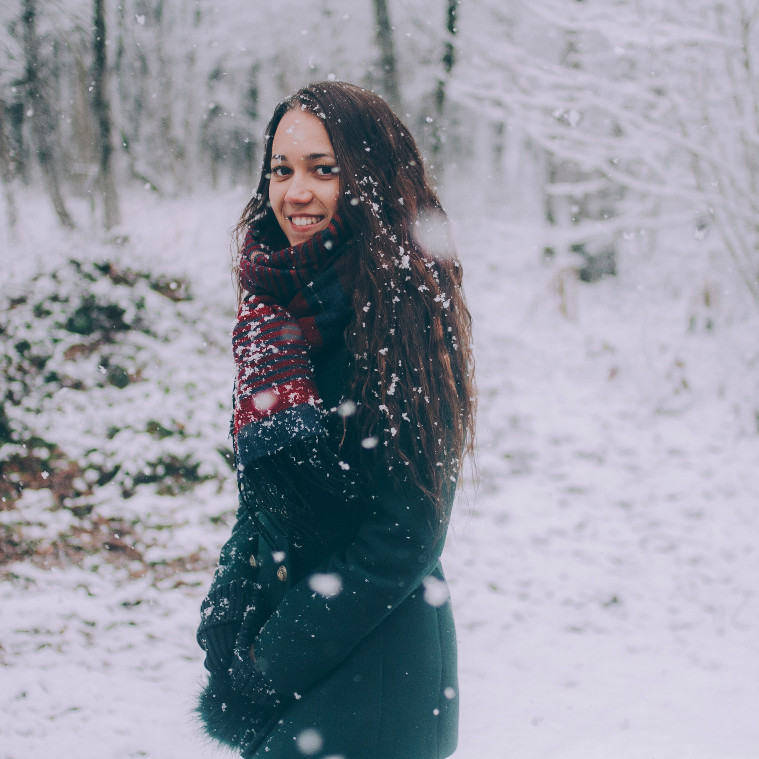 Сочи (декабрь 2017)