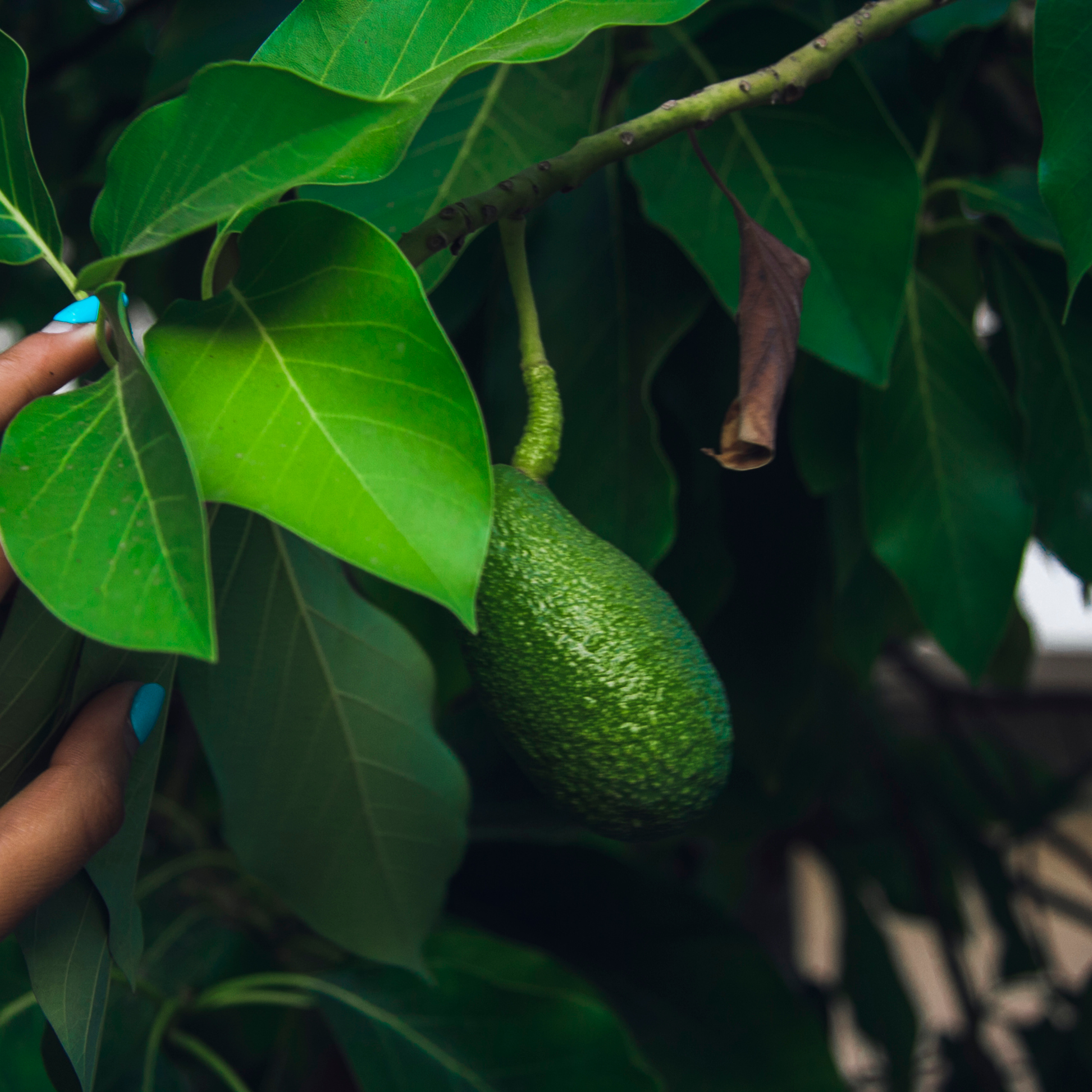 Кемер Турция (июль 2018)