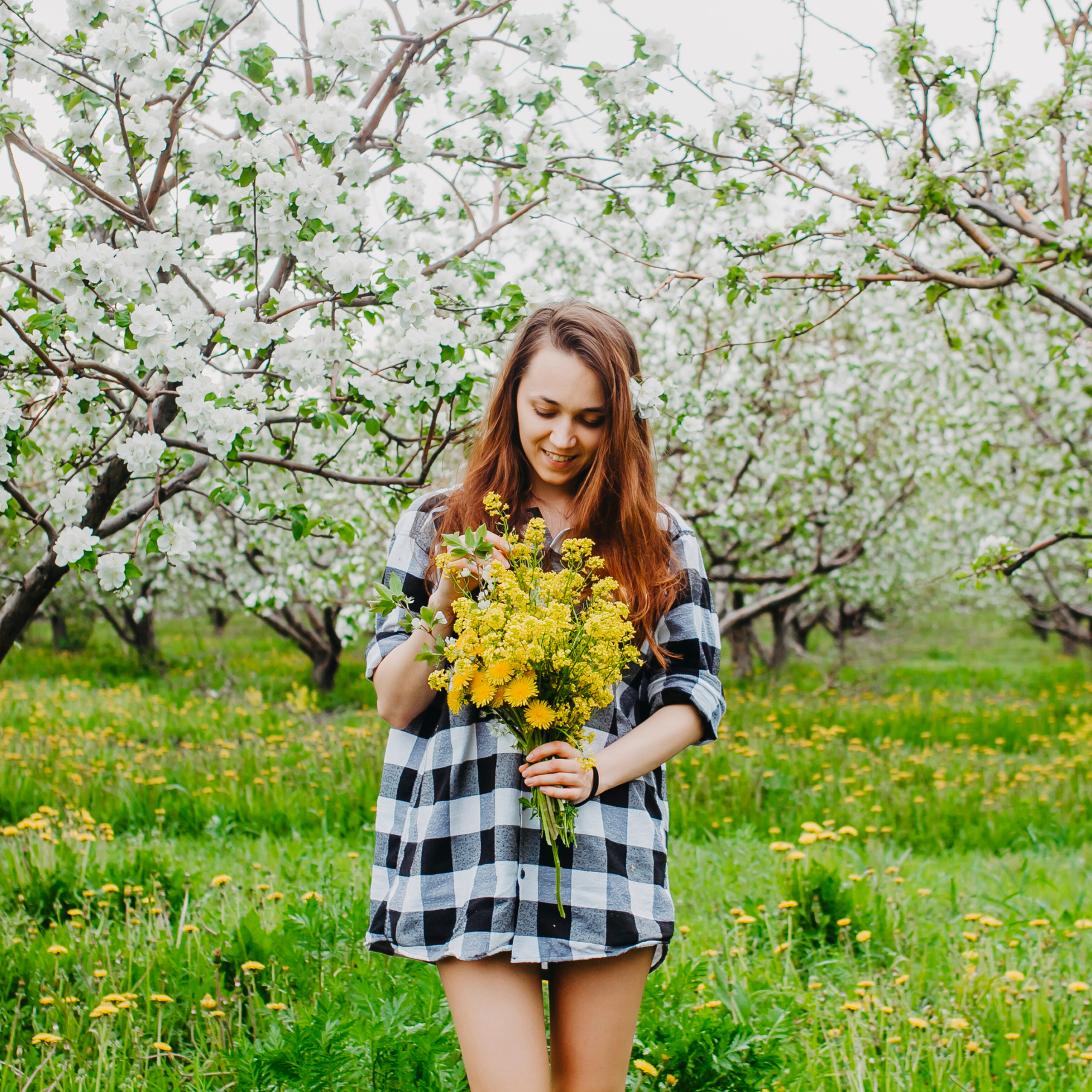 Хвалынские яблоневые сады (май 2019)