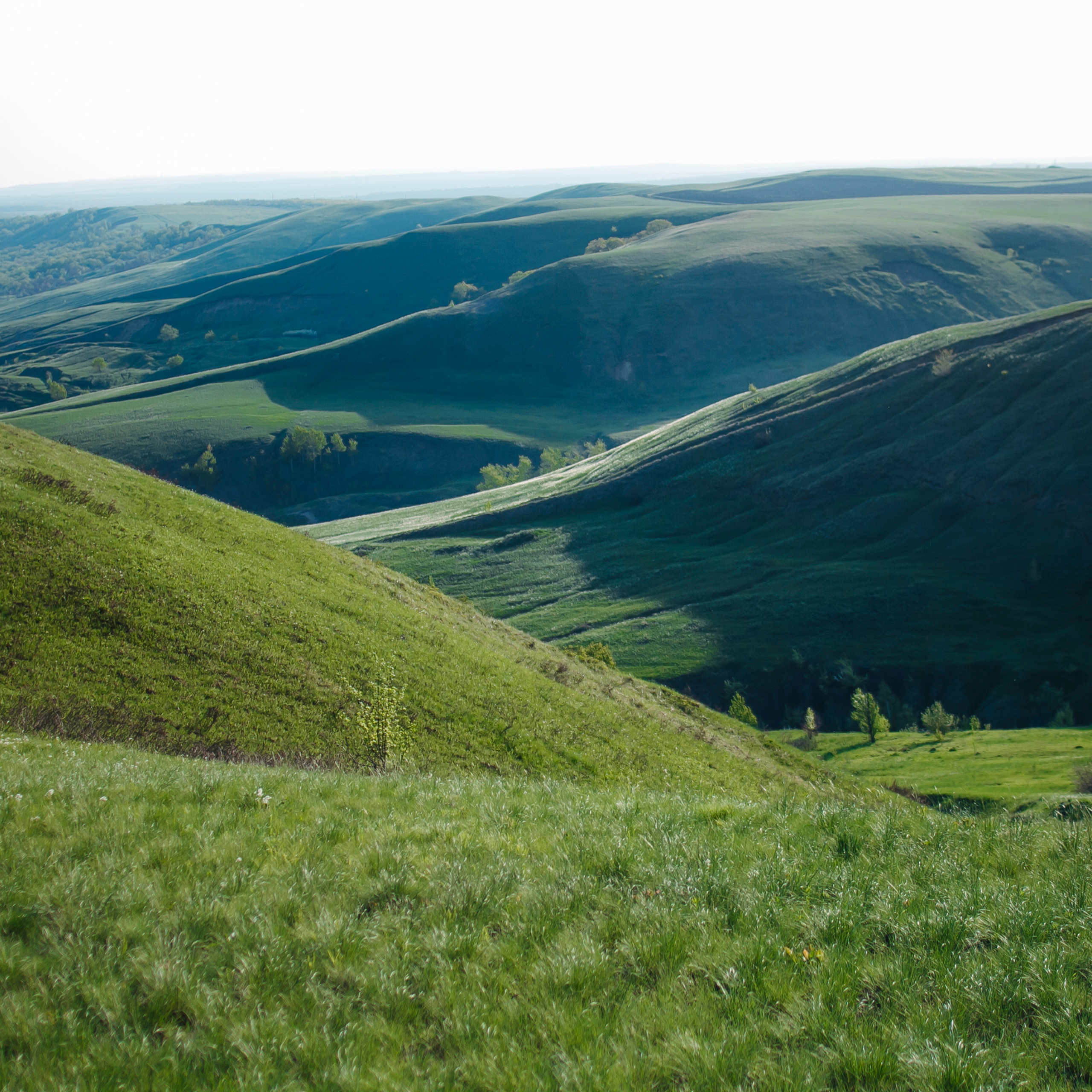 Гора Меровка (июль 2019)