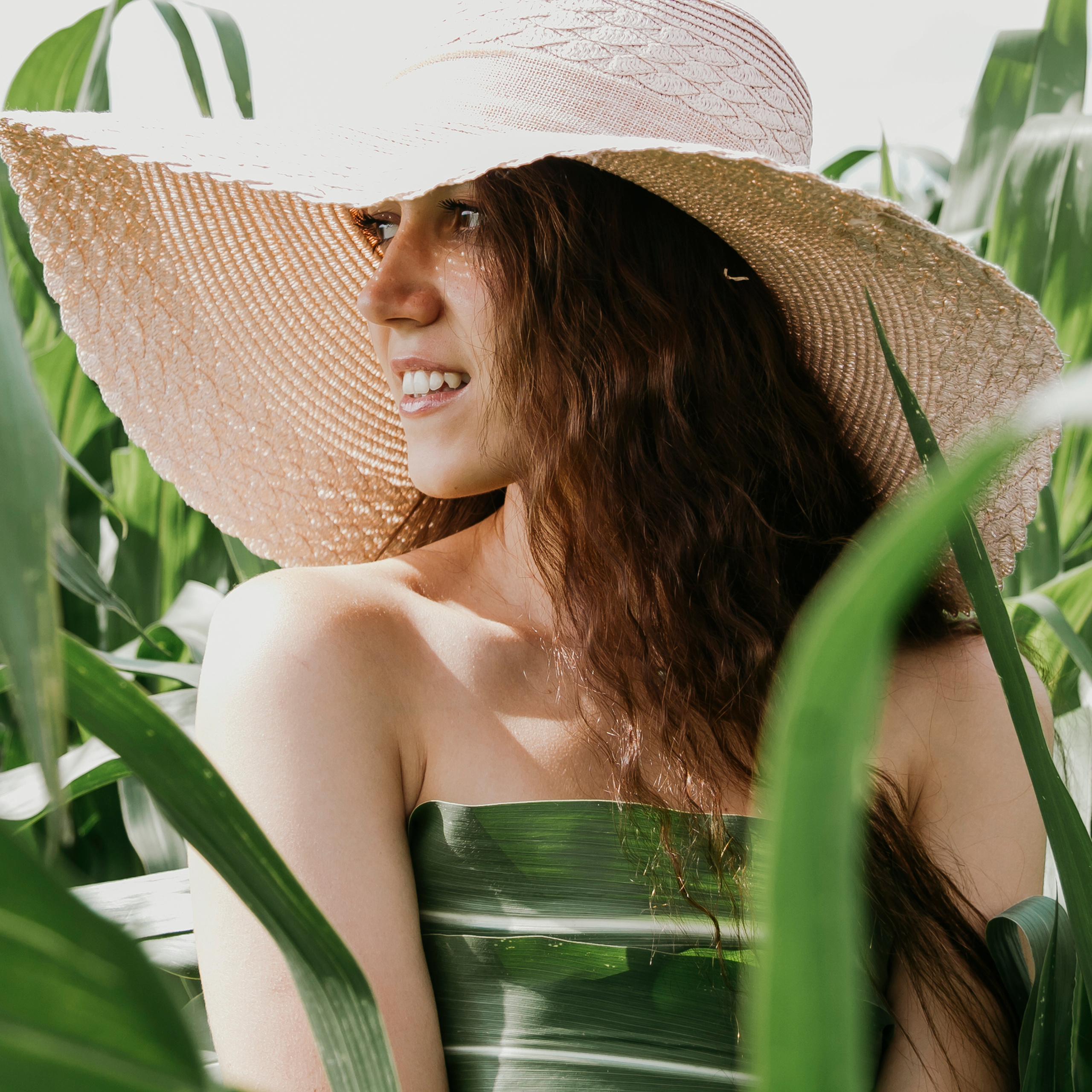 Кукурузные поля (август 2019)