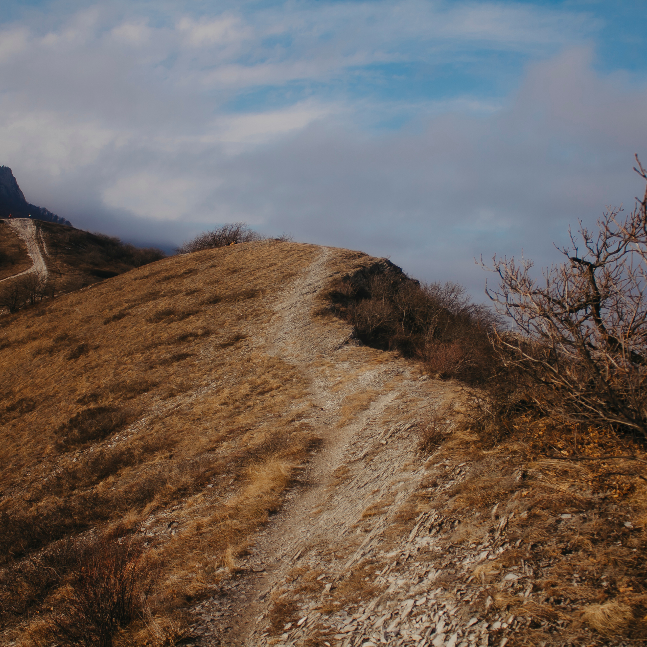 Мин воды (Новый год 2020)