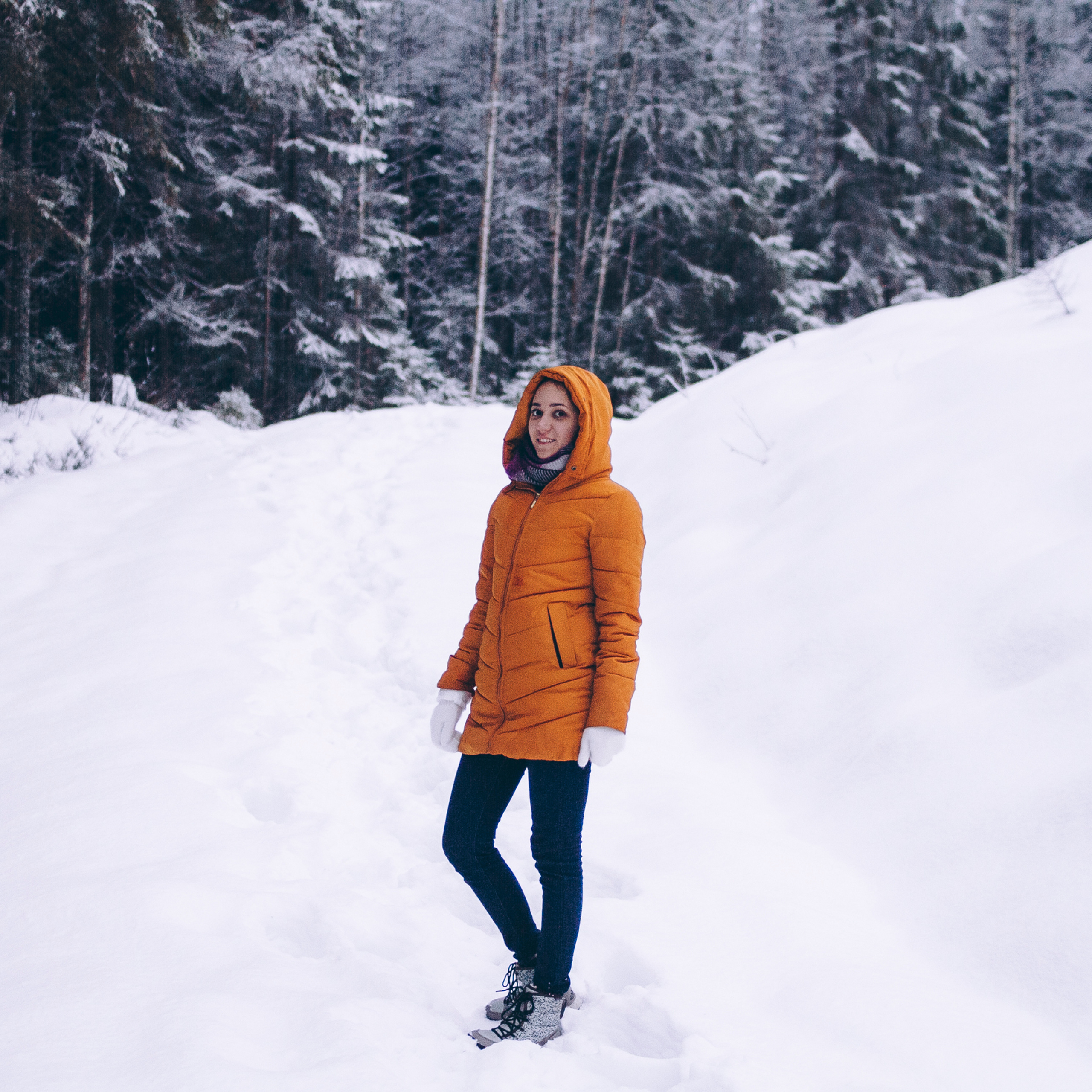 Финляндия (Новый год 2018)