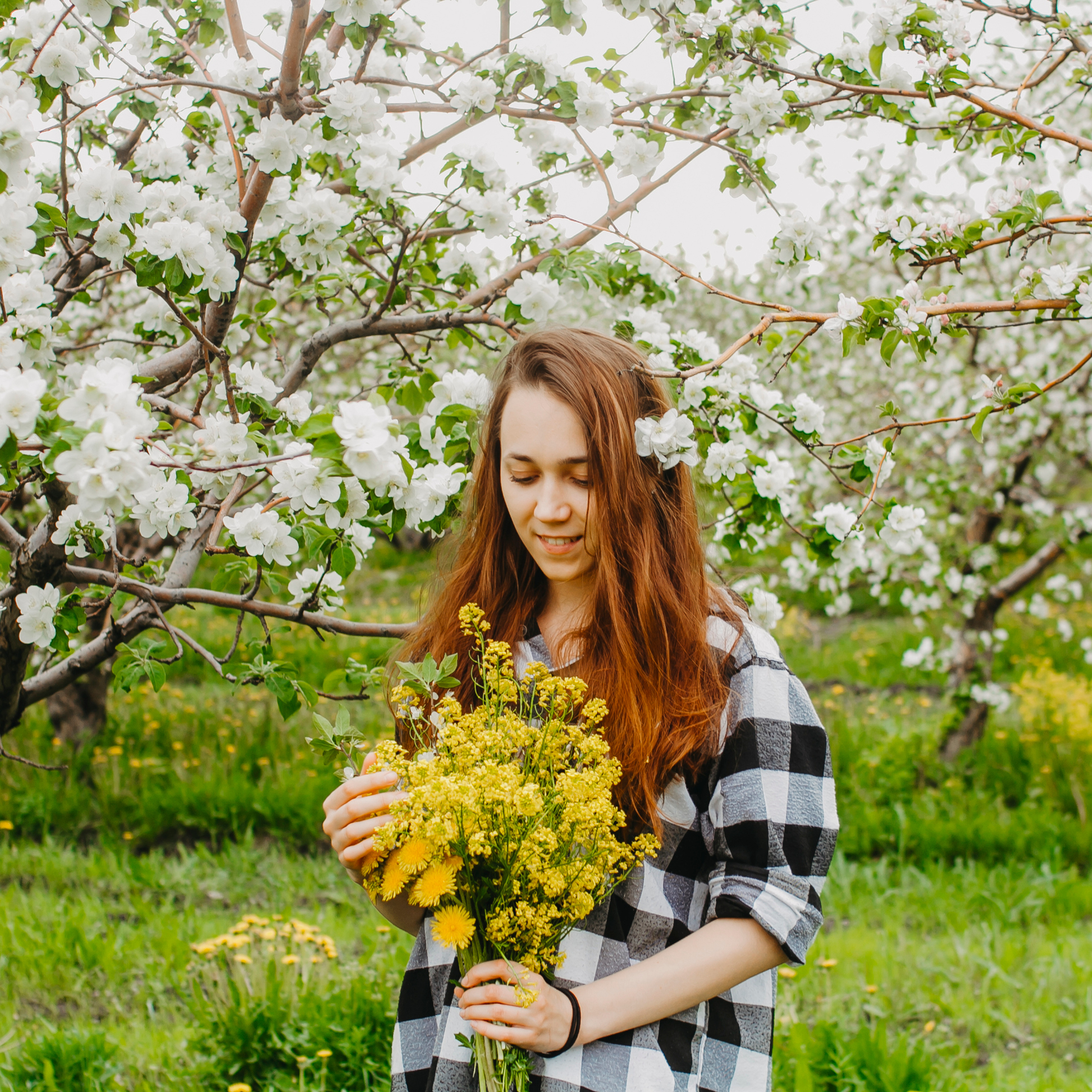 Хвалынские яблоневые сады (май 2019)