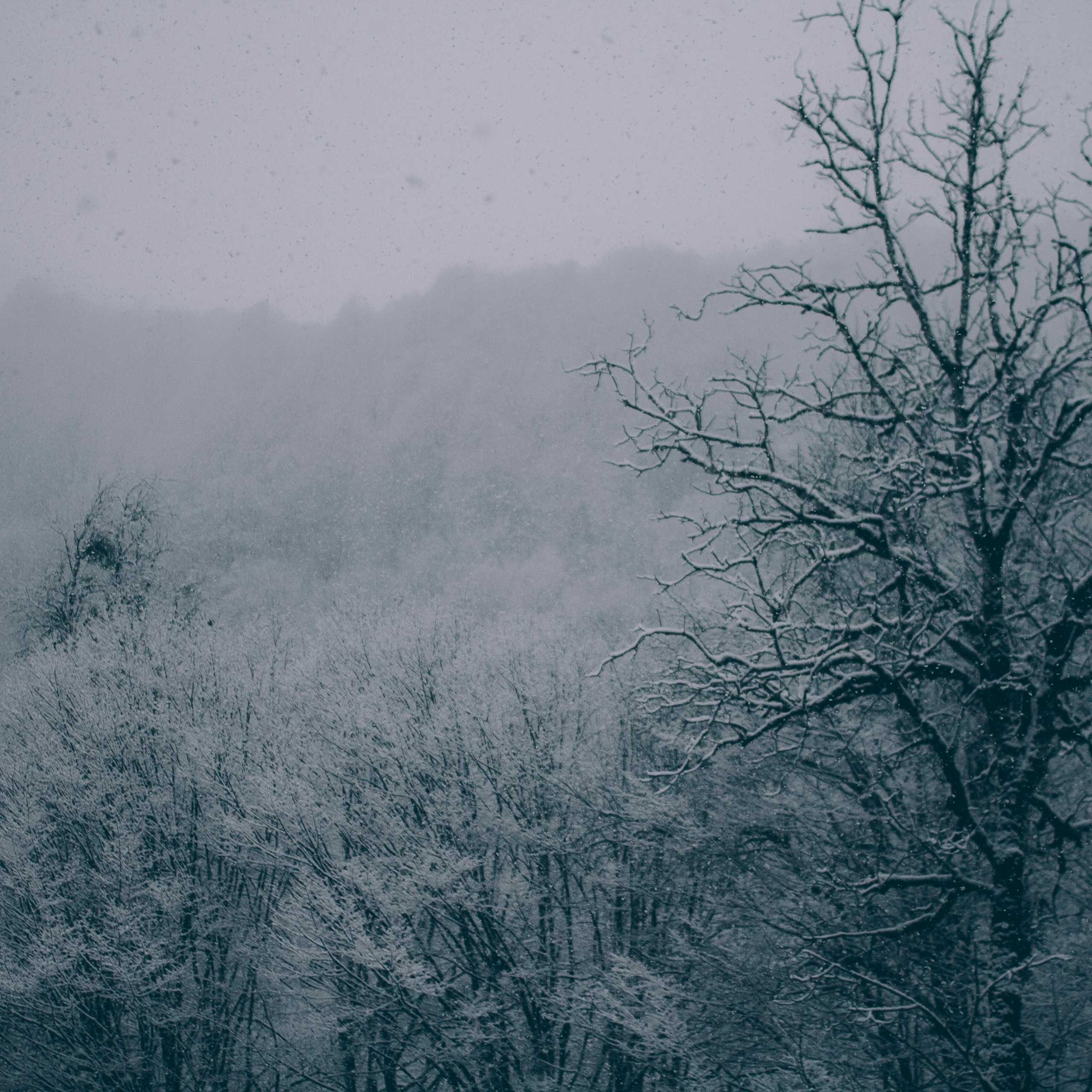 Сочи (декабрь 2017)