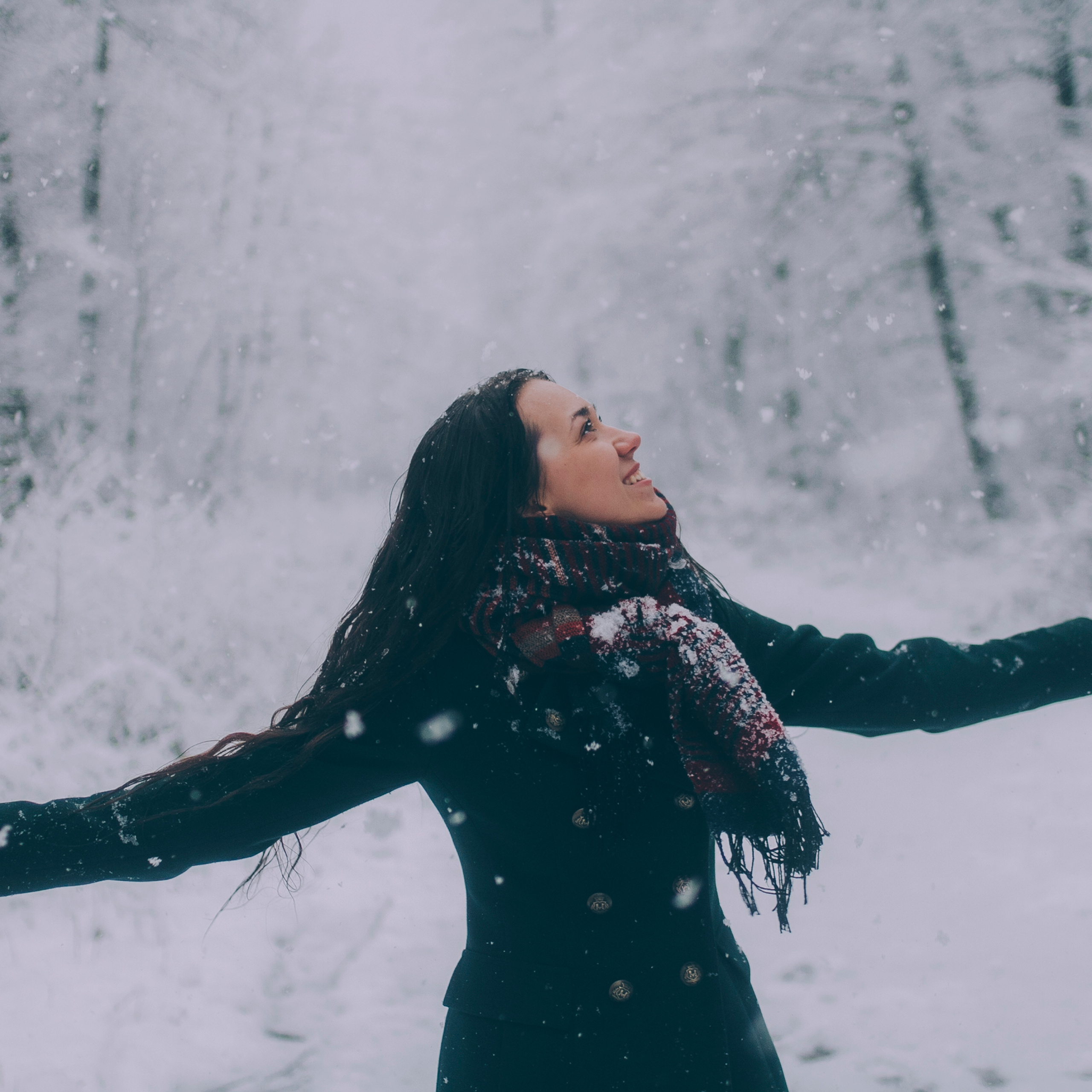 Сочи (декабрь 2017)