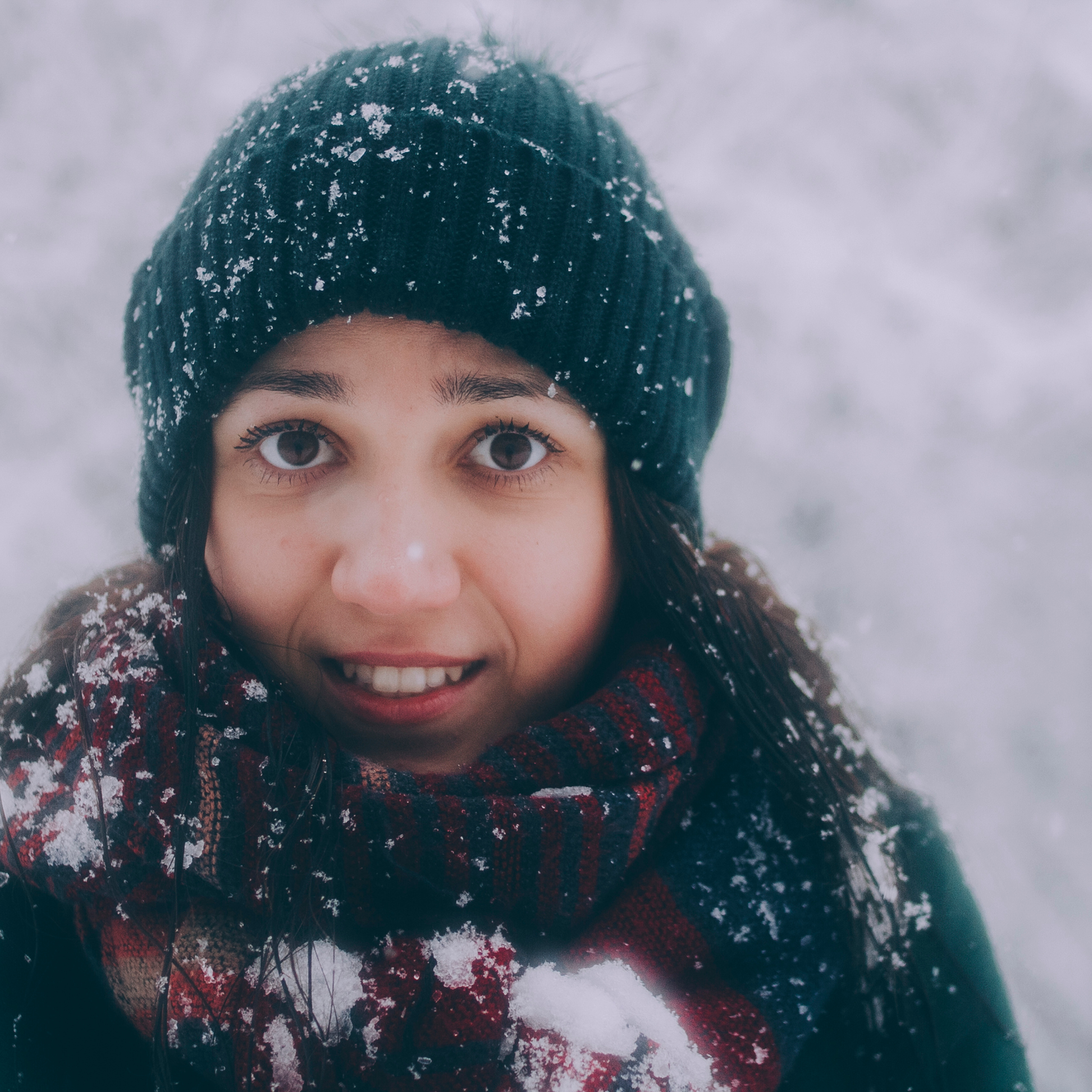 Сочи (декабрь 2017)