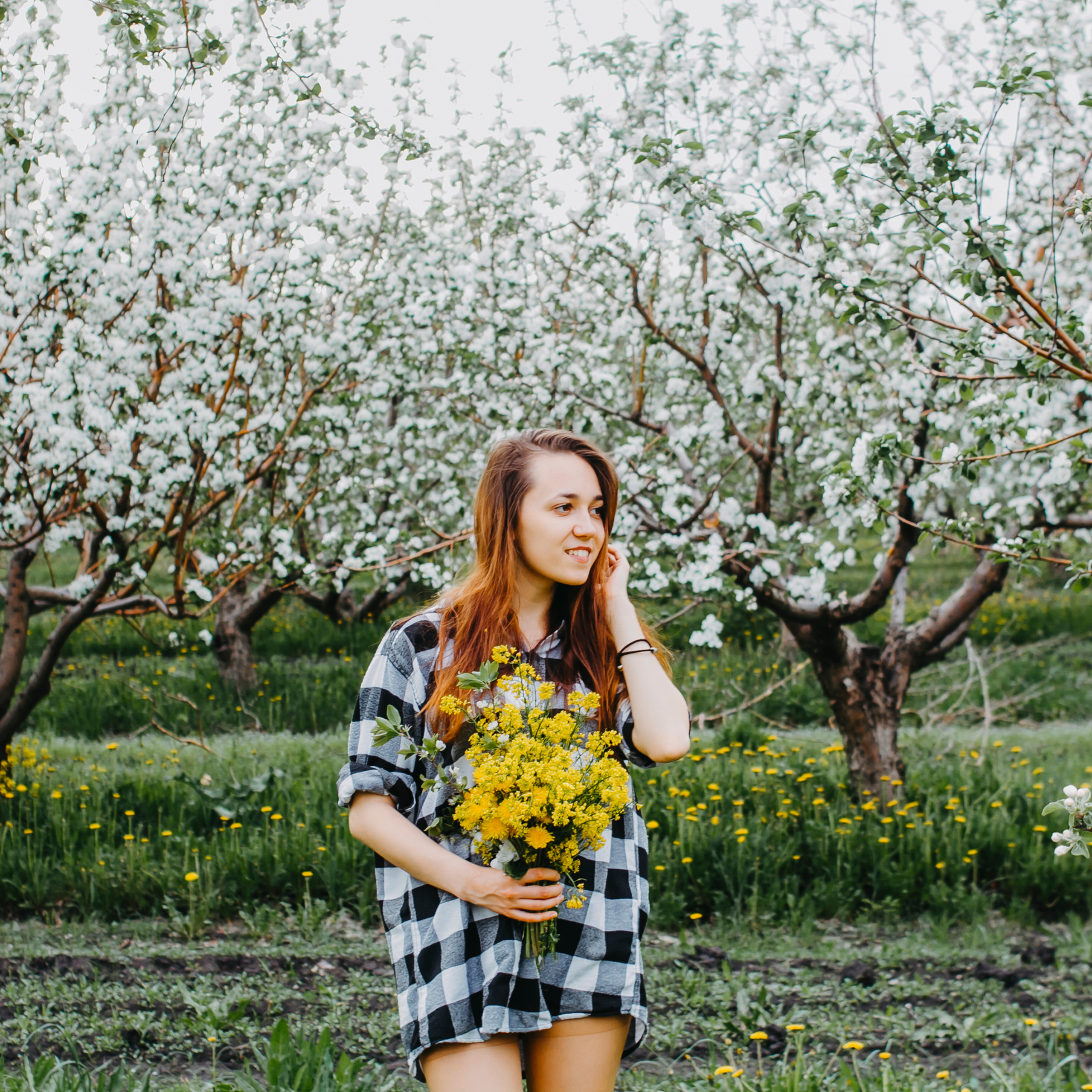 Хвалынские яблоневые сады (май 2019)