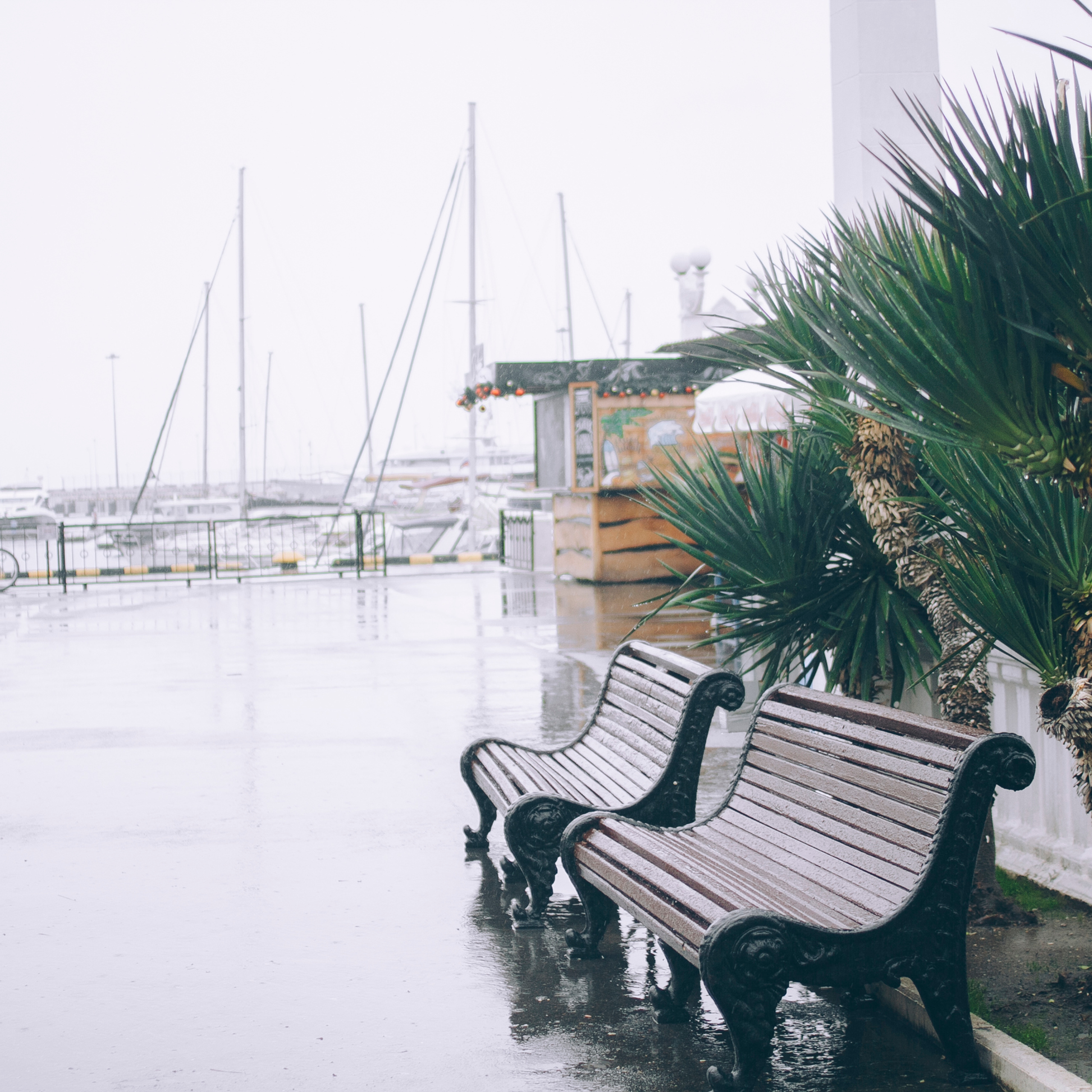 Сочи (декабрь 2017)