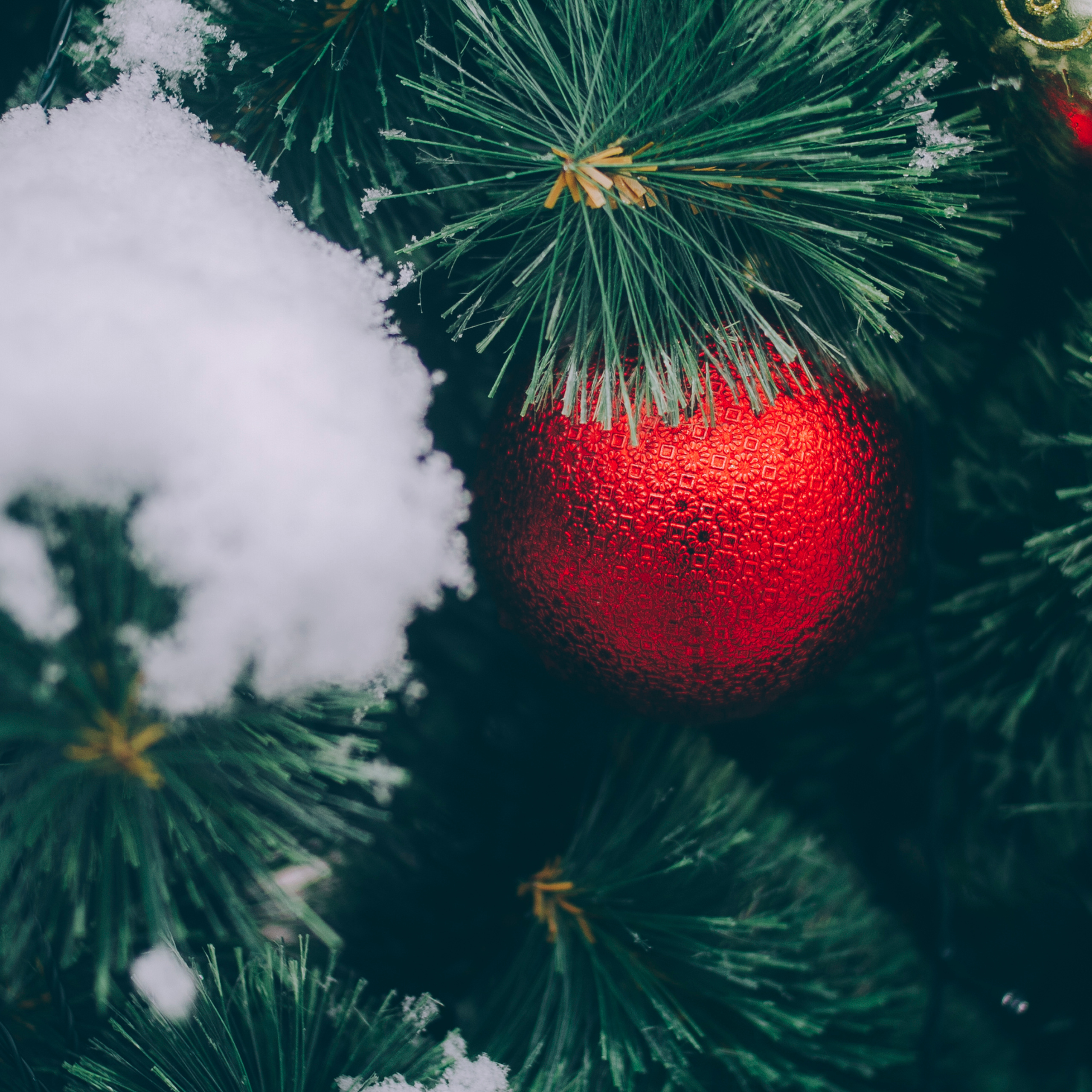 Сочи (декабрь 2017)