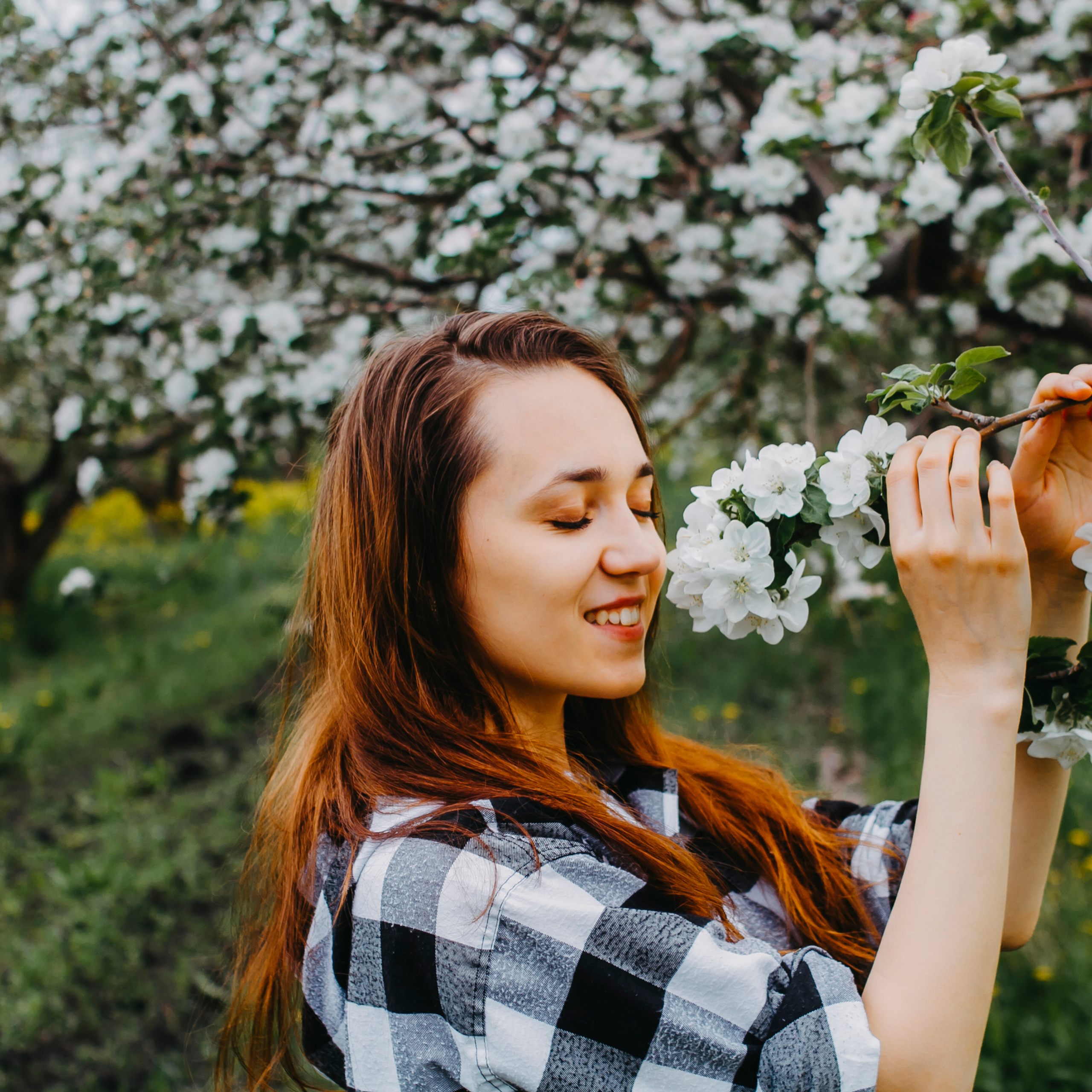 Хвалынские яблоневые сады (май 2019)