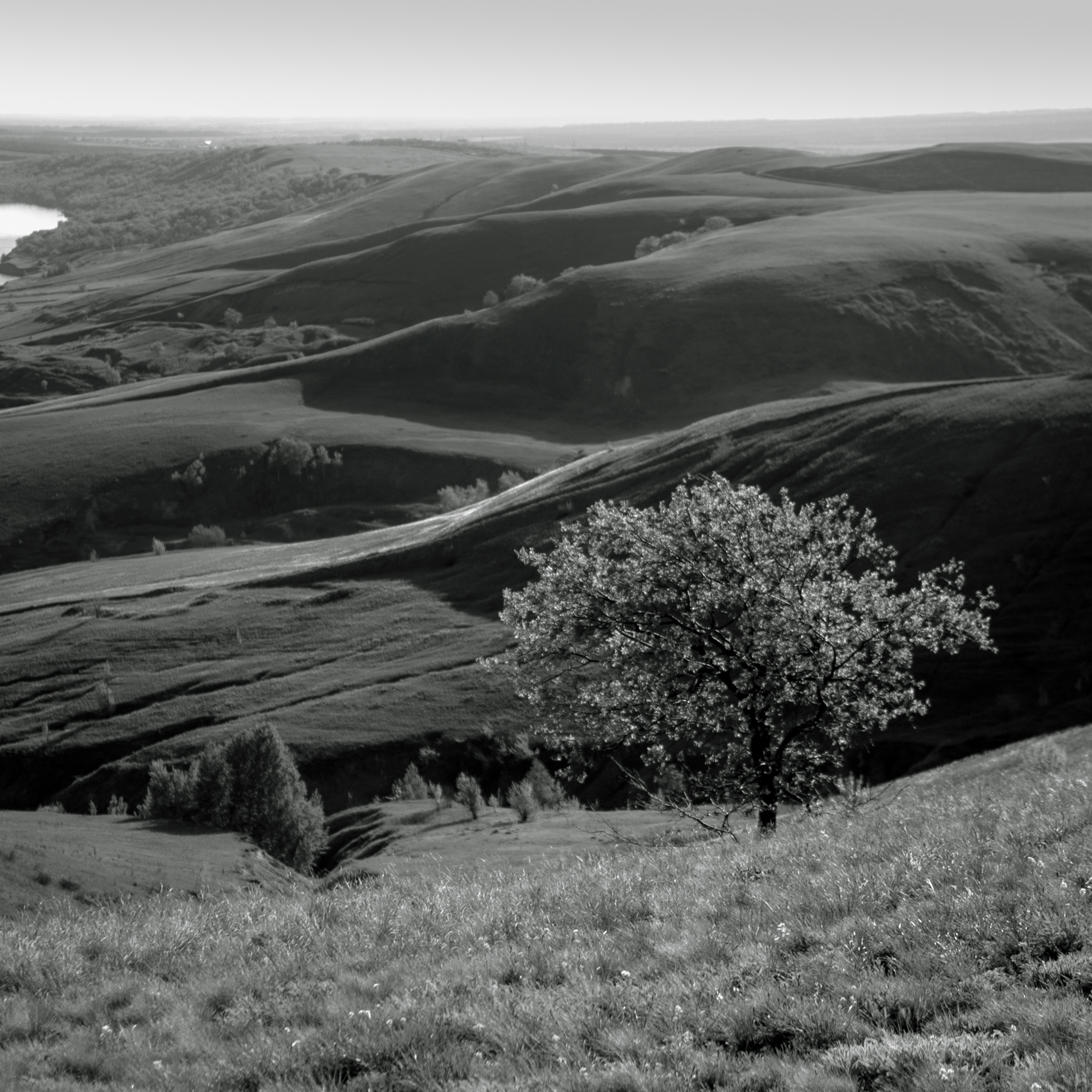 Гора Меровка (июль 2019)