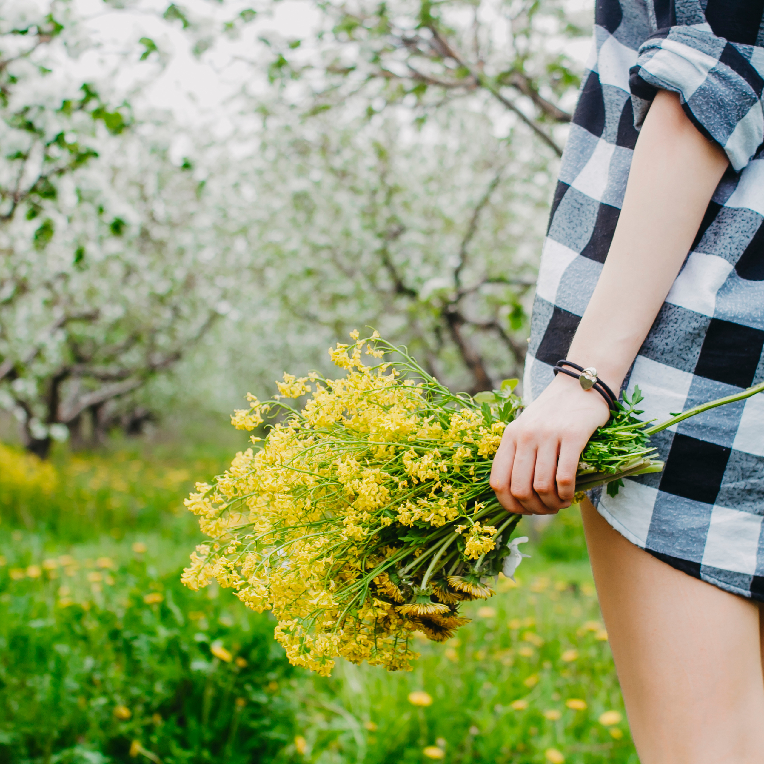 Хвалынские яблоневые сады (май 2019)