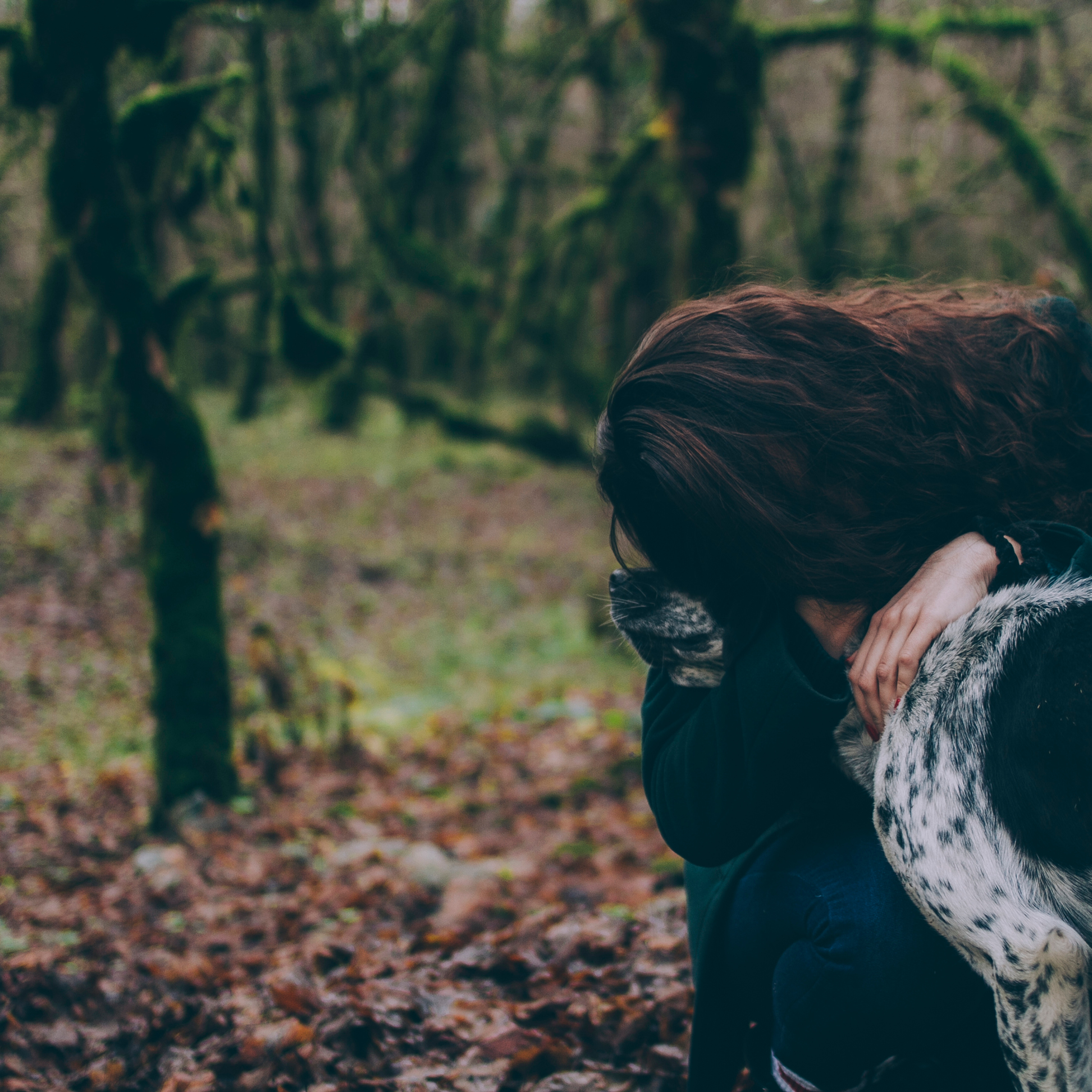 Сочи (декабрь 2017)