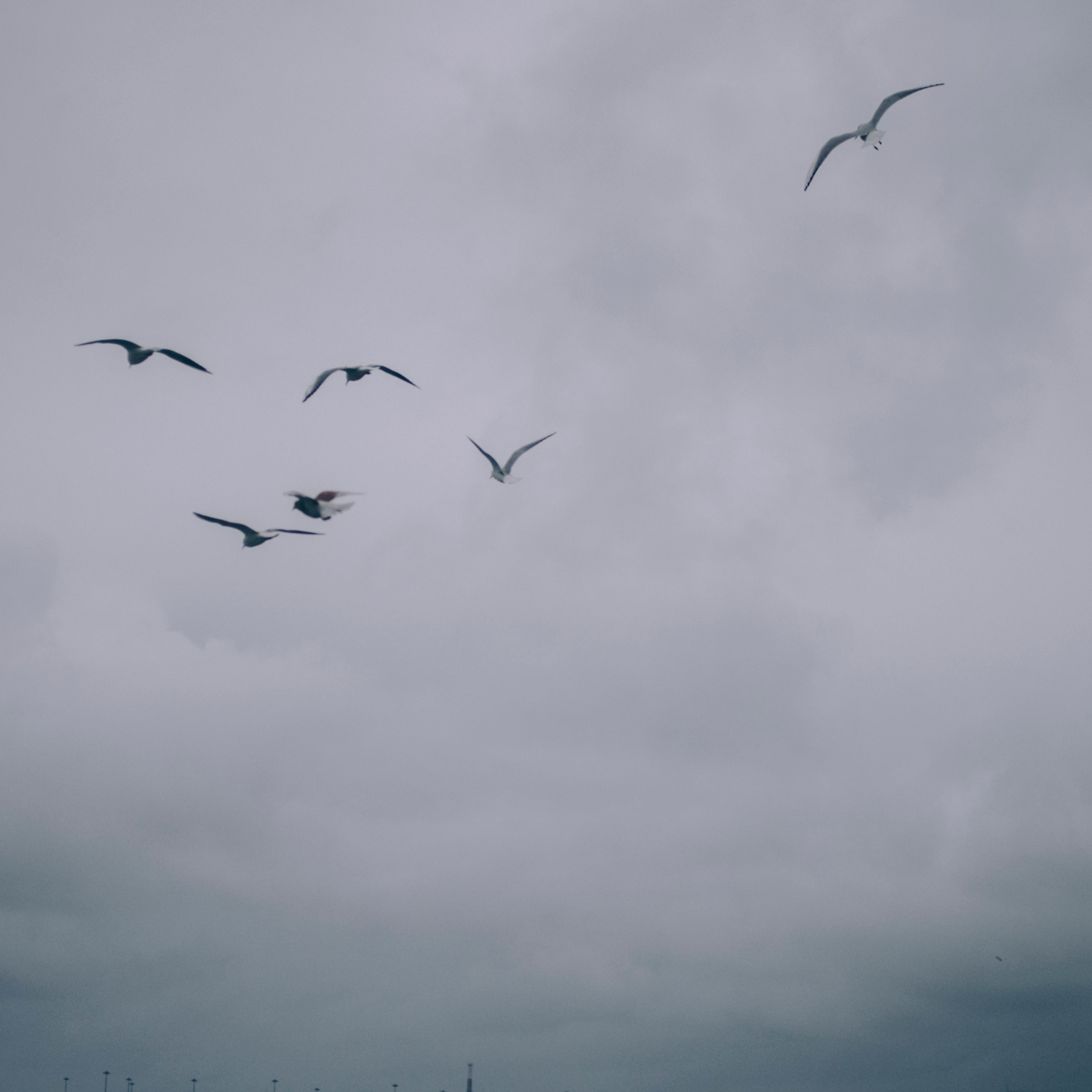 Сочи (декабрь 2017)