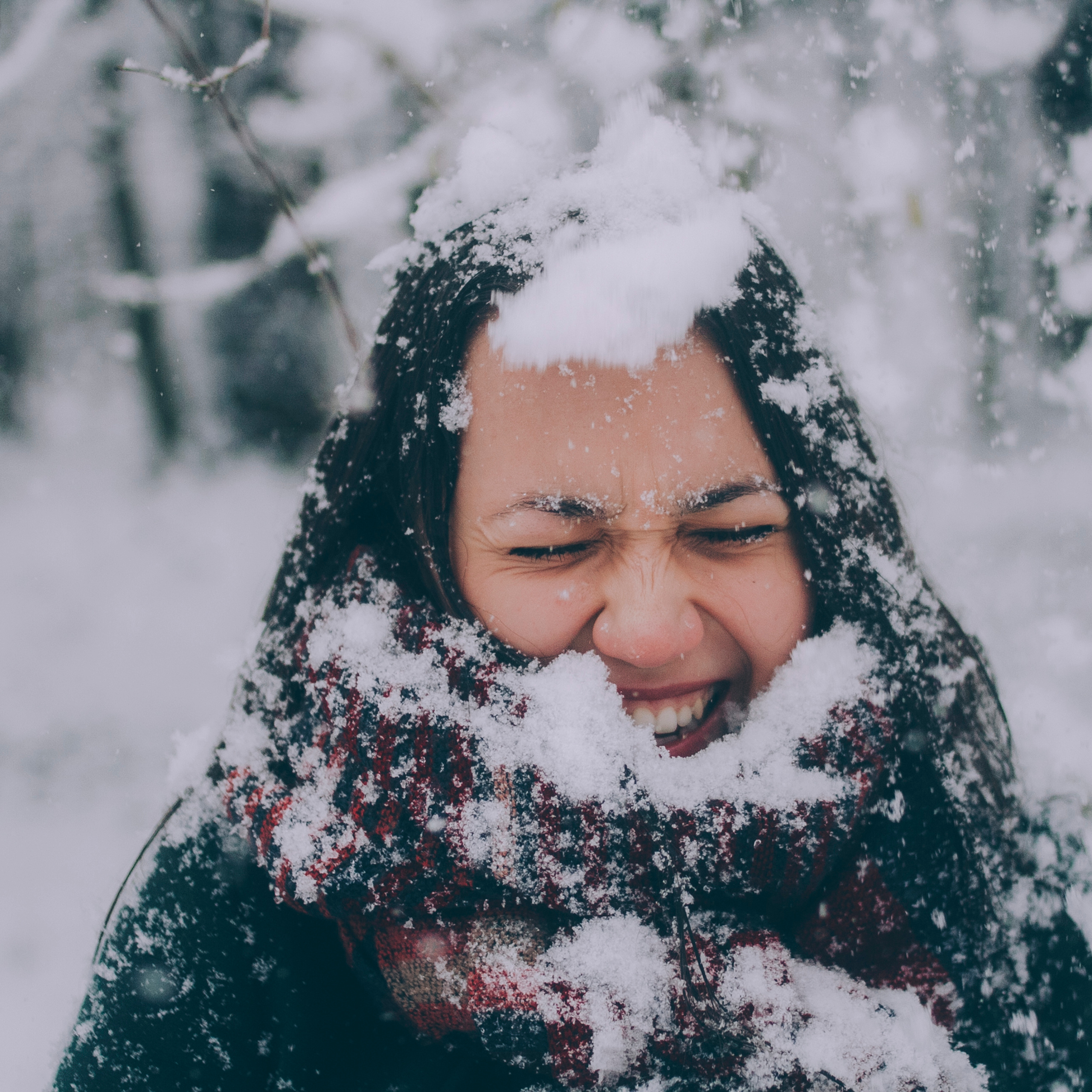 Сочи (декабрь 2017)