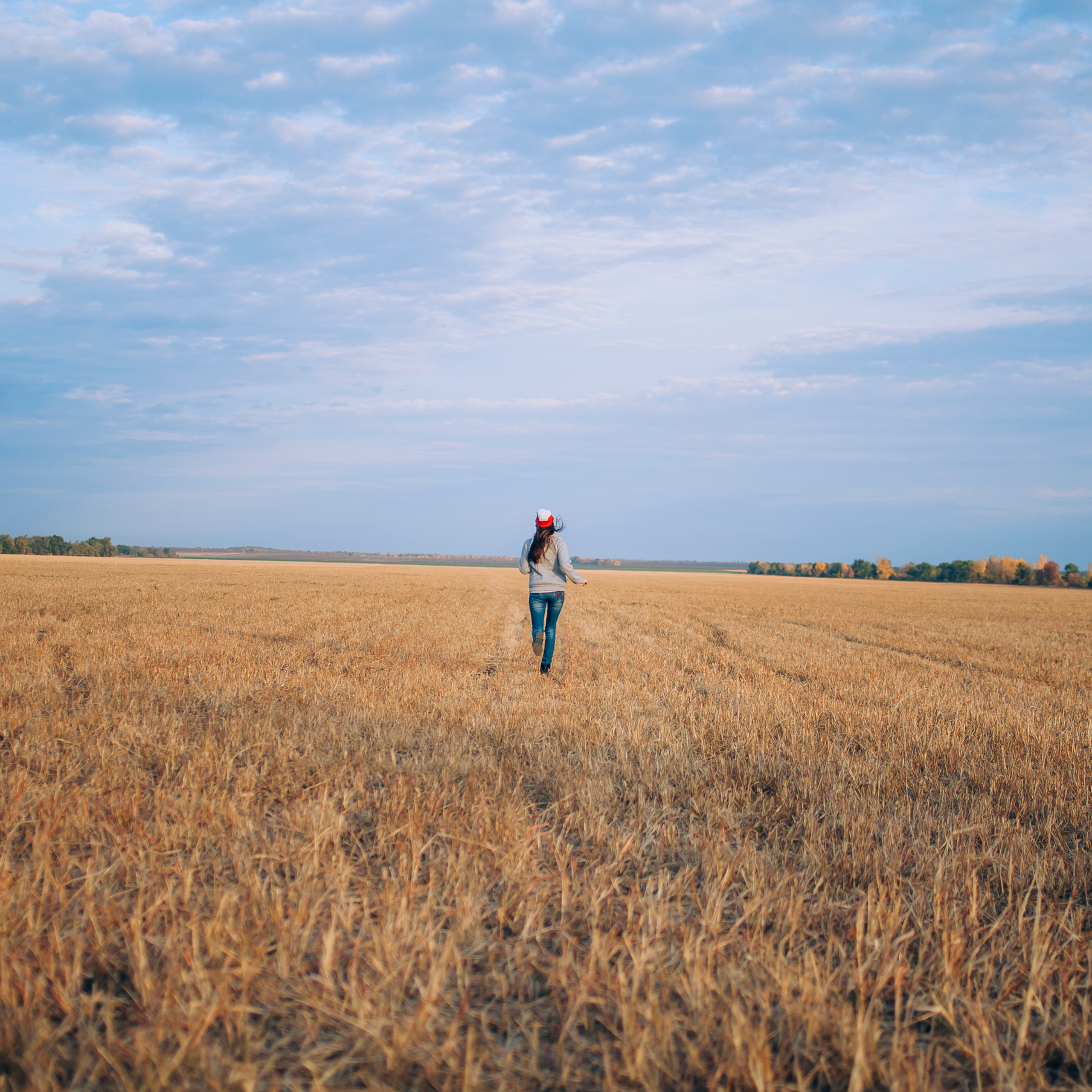 Поле у АЭС Балаково (октябрь 2018)