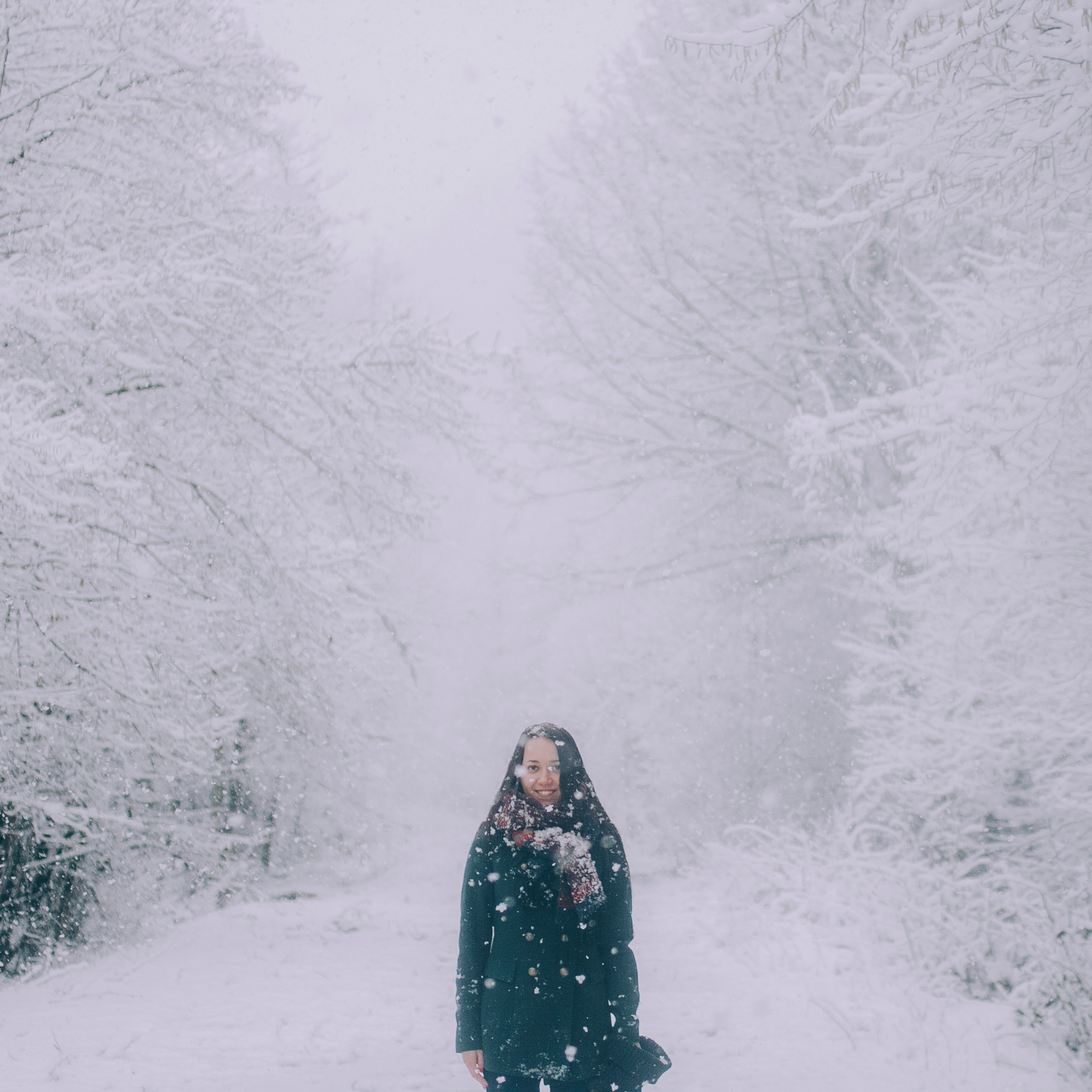 Сочи (декабрь 2017)