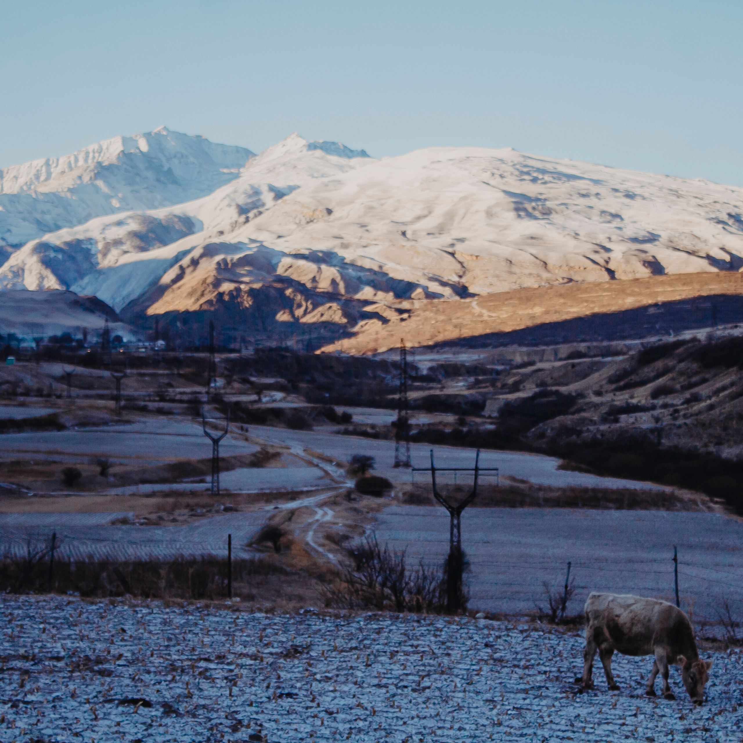 Мин воды (Новый год 2020)