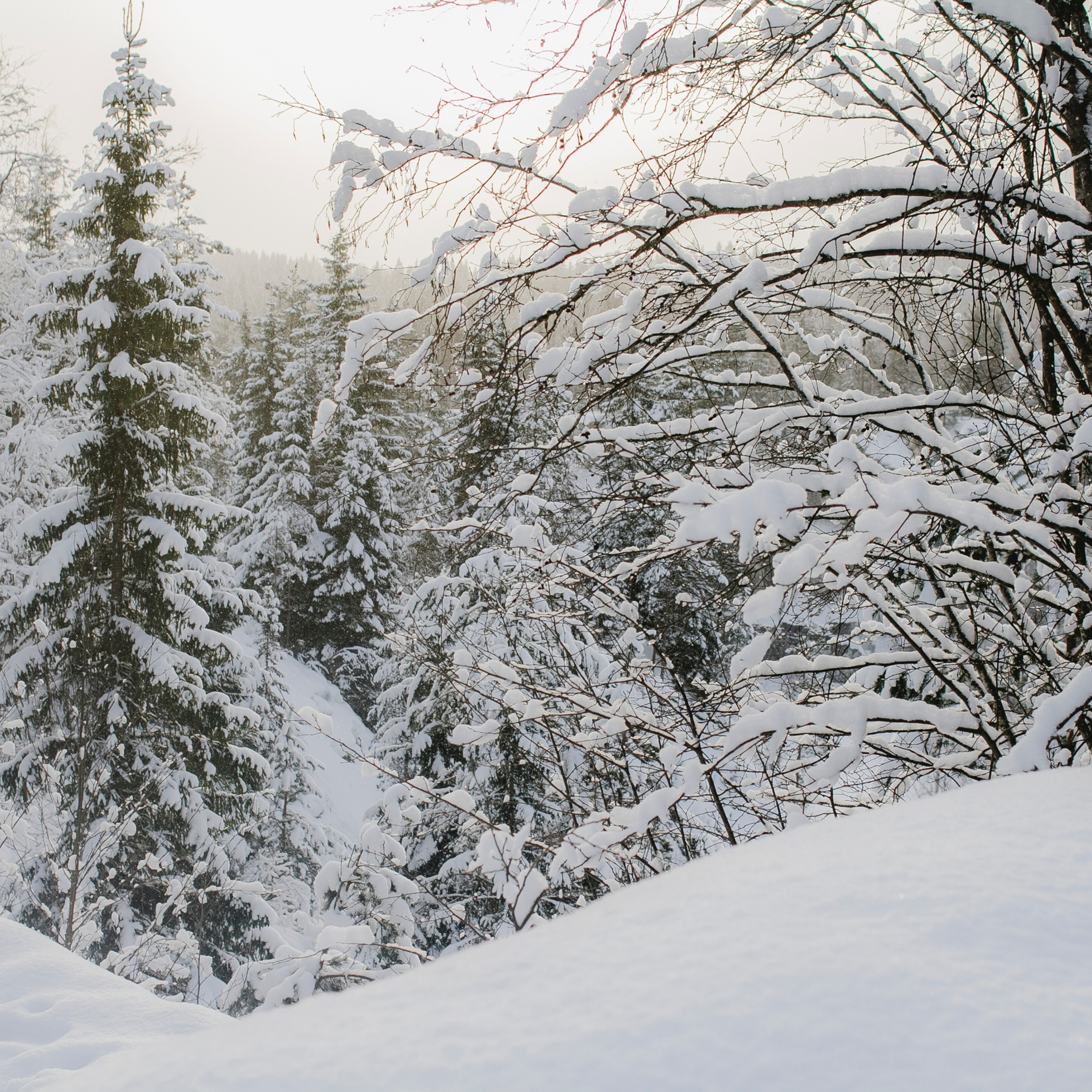 Рускеала Карелия (февраль 2018)